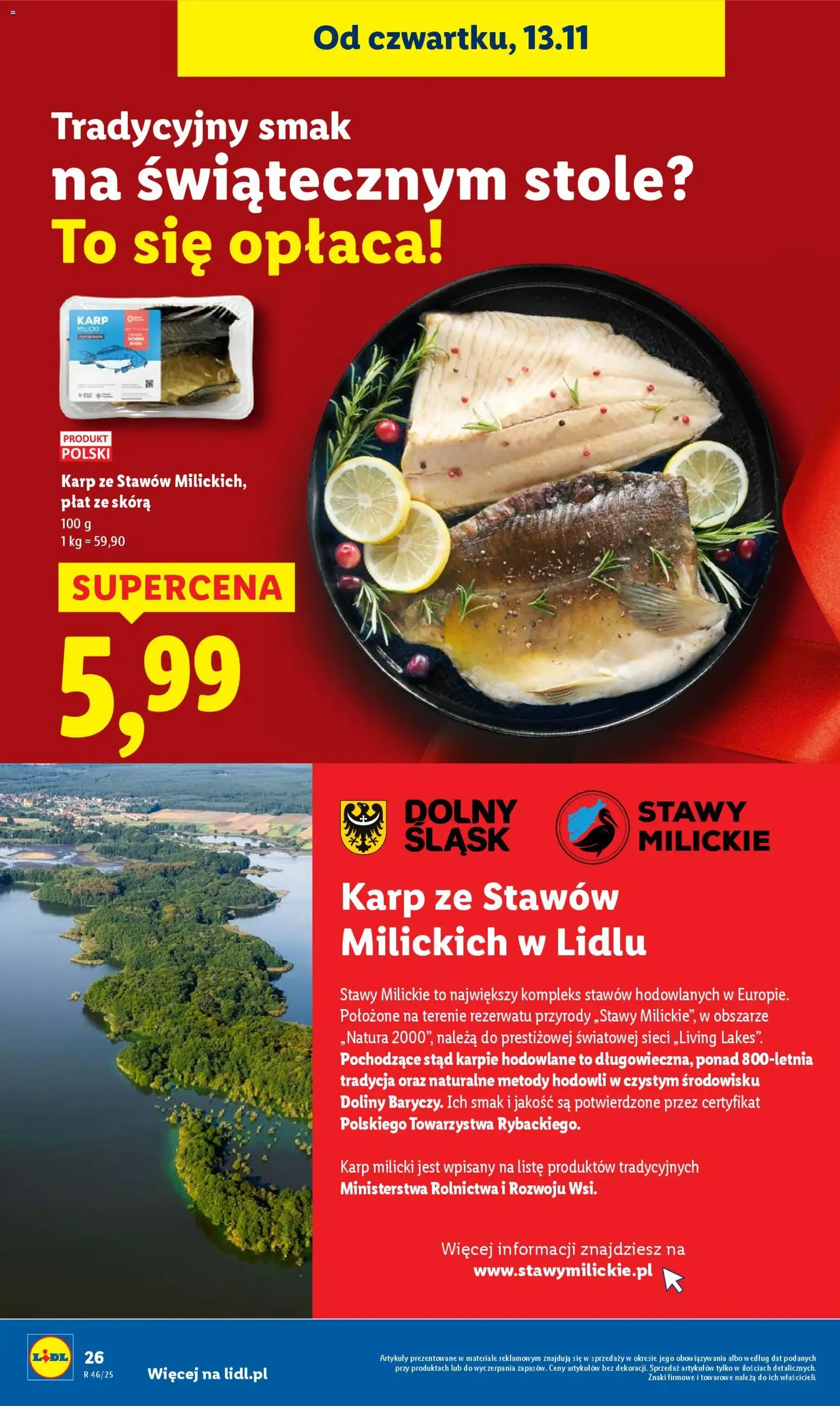 Lidl Gazetka - ważny gazetka od 13.11.2025 strona 26 z 66