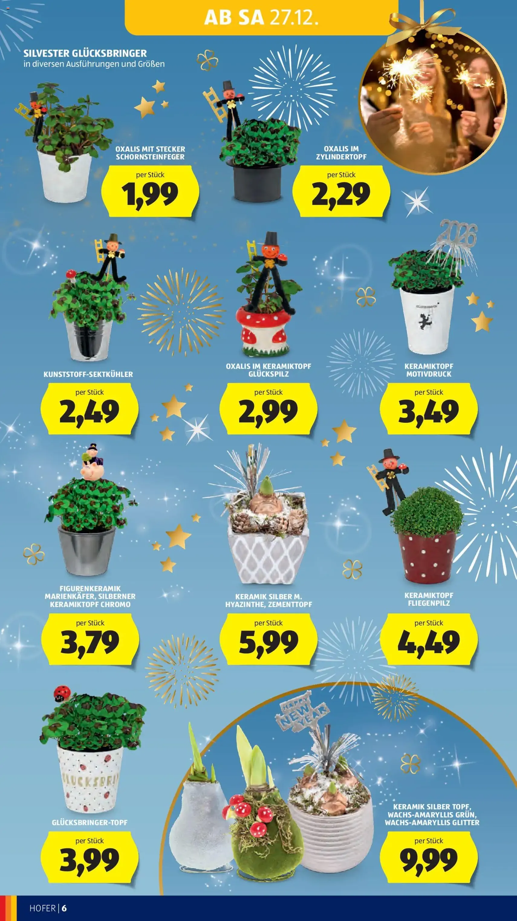 Hofer Flugblatt - Gültiger Prospekt ab 22.12.2025, Seite 8 von insgesamt 29