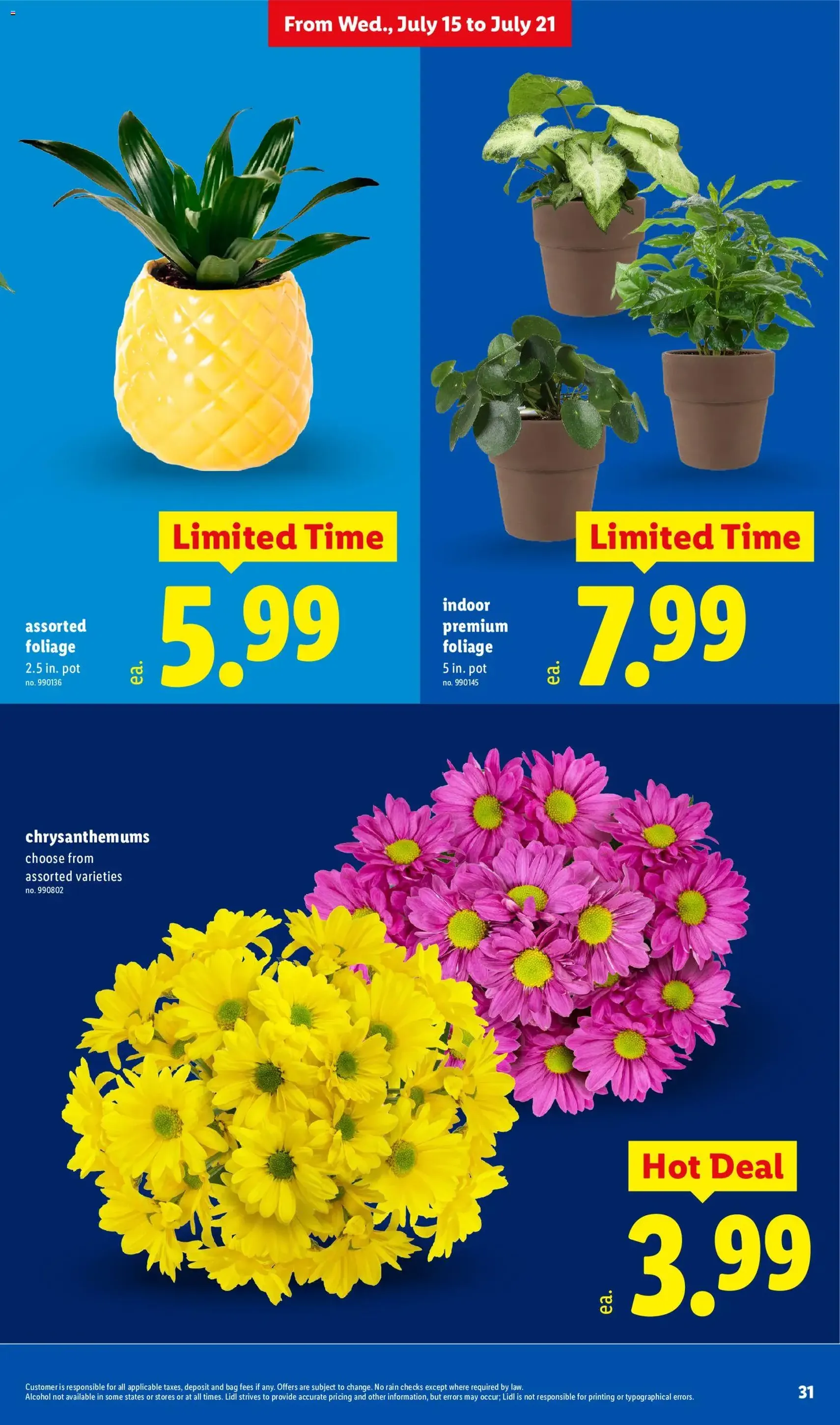 Lidl Weekly Ad - valid flyer from 07/15/2026, page 31 of 42