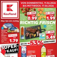 Kaufland DE - DE Folder - voorvertoning van de folder geldig vanaf 11-06-2026