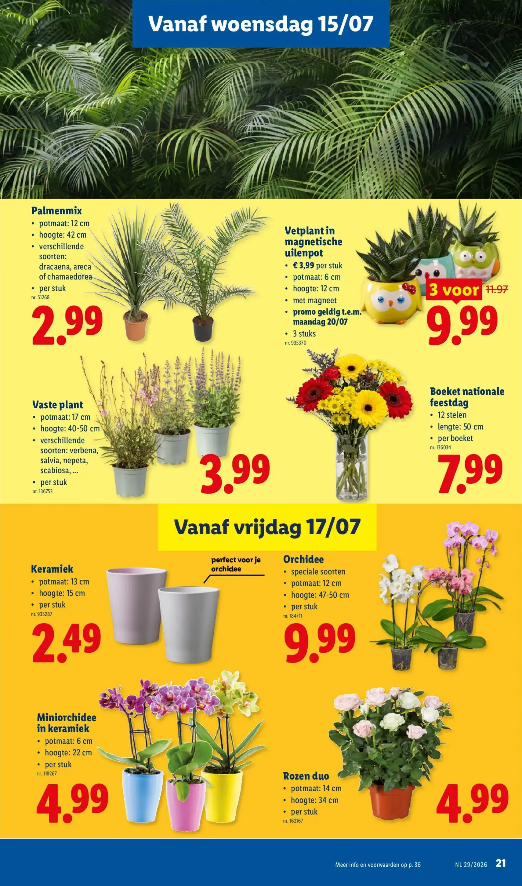 Lidl Folder week 29 - geldige folder vanaf 13/07/2026 pagina 21 van 36