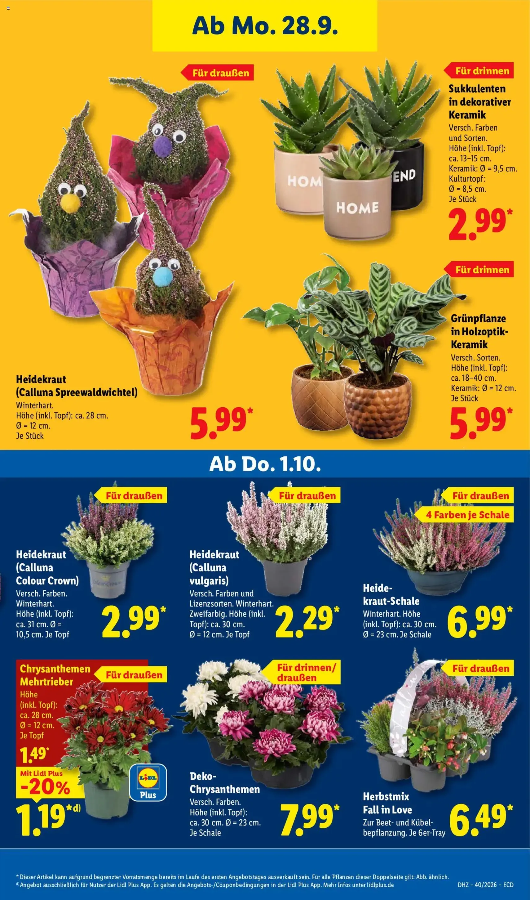 Lidl Prospekt - Gültiger Prospekt ab 28.09.2026, Seite 25 von insgesamt 71