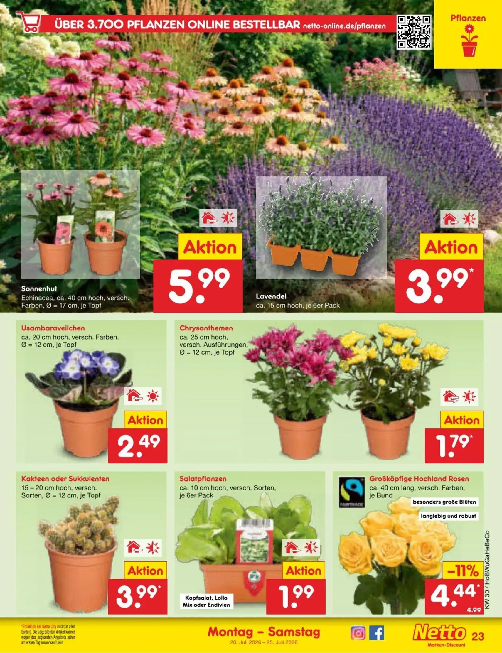 Netto Marken-Discount Prospekt - Gültiger Prospekt ab 20.07.2026, Seite 39 von insgesamt 71