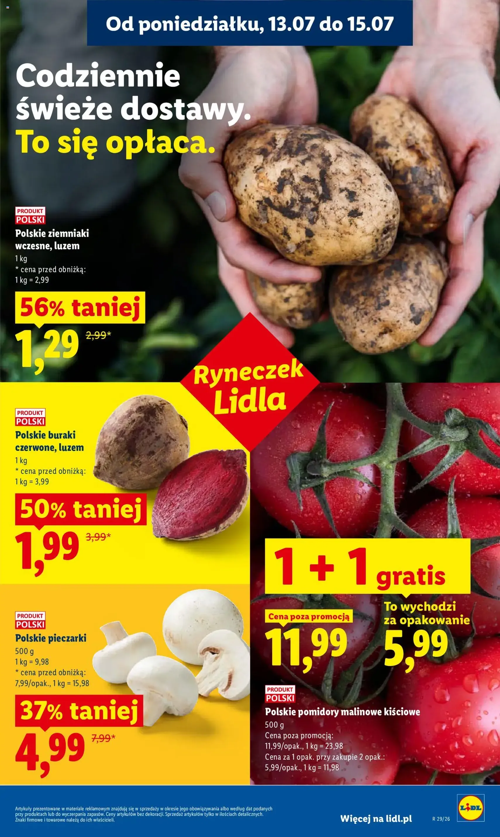 Lidl gazetka - ważny gazetka od 13.07.2026 strona 43 z 94