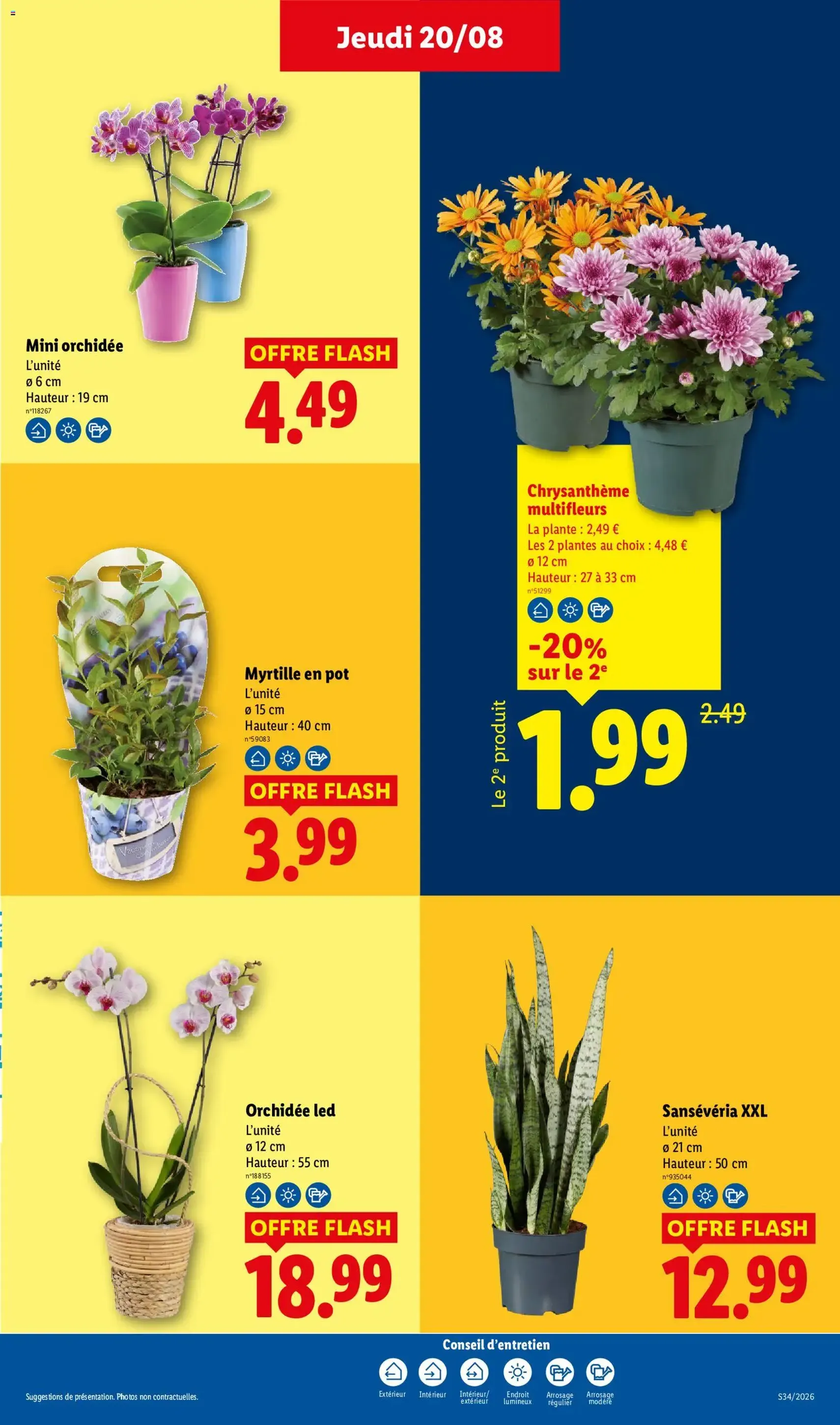 LIDL catalogue - brochure valable à partir du 20/08/2026, page 29 sur 54