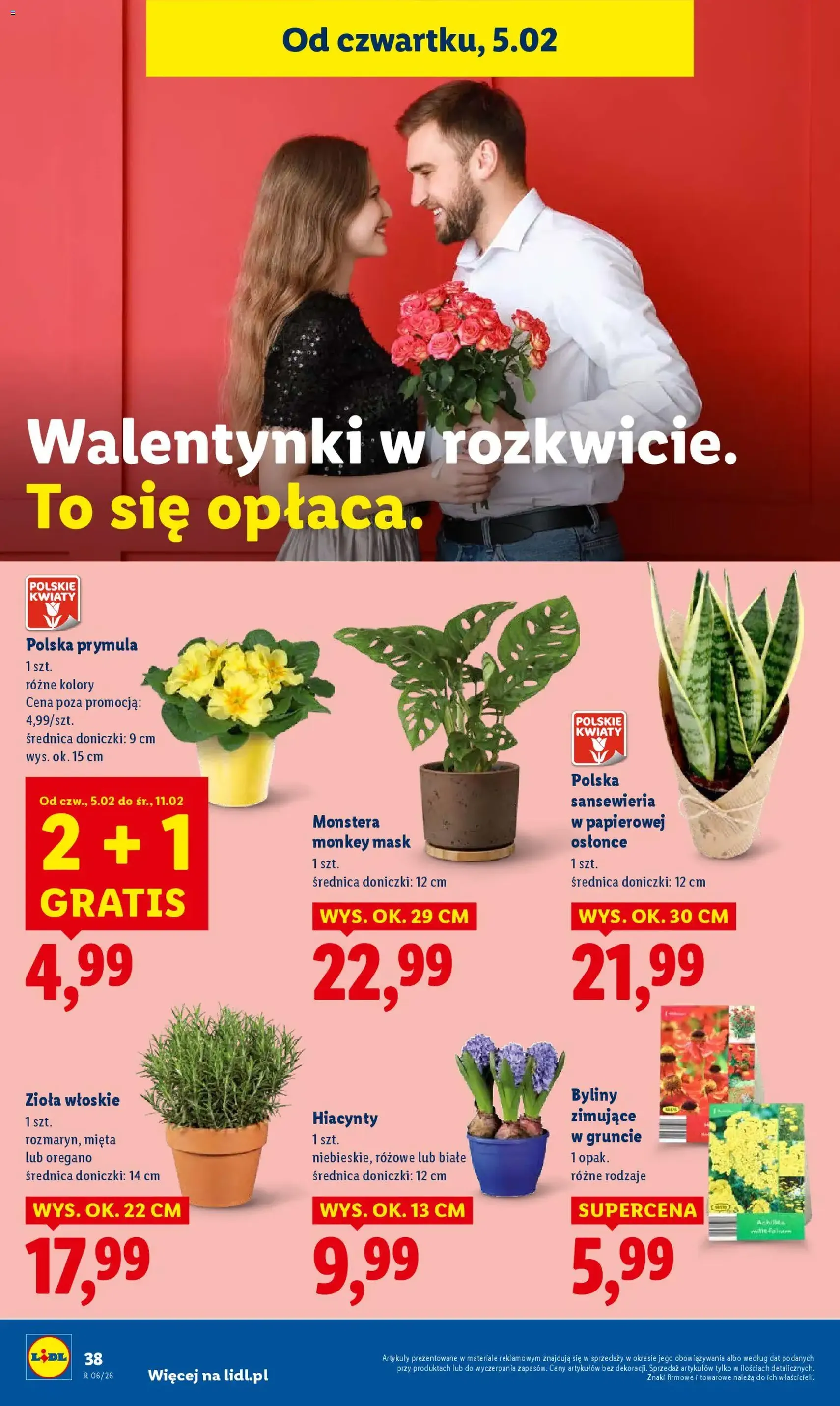 Lidl Gazetka - ważny gazetka od 05.02.2026 strona 40 z 61
