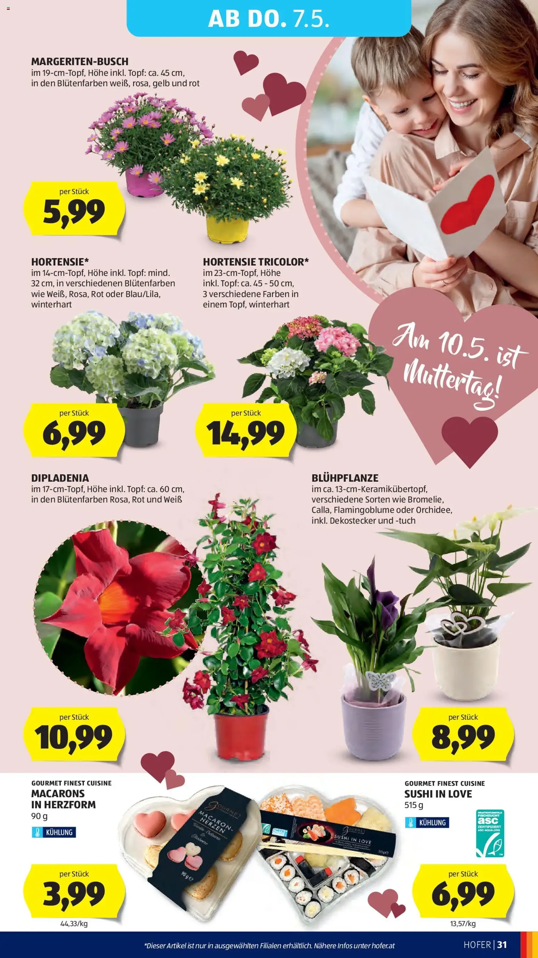 Hofer Flugblatt - Gültiger Prospekt ab 29.04.2026, Seite 37 von insgesamt 47