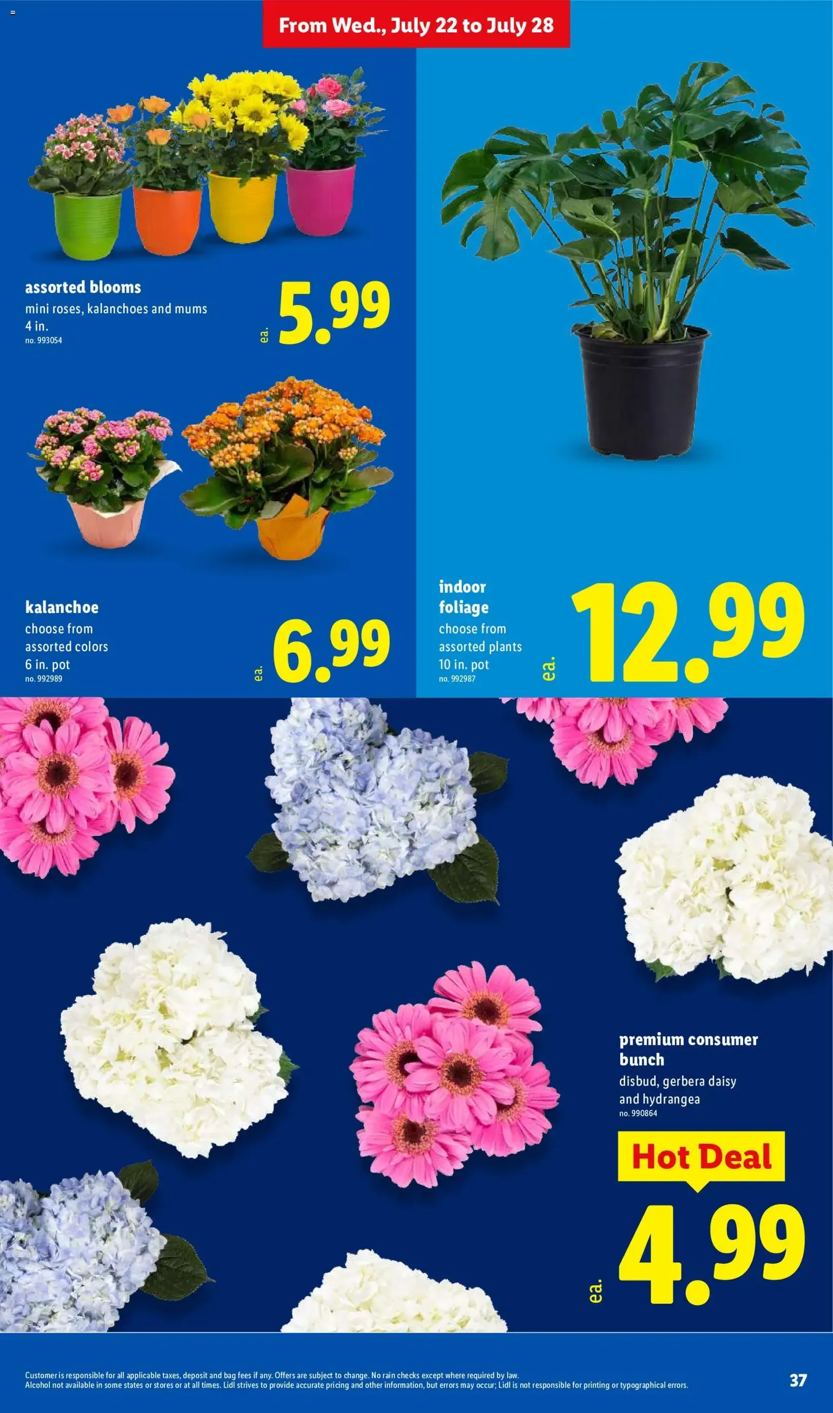 Lidl Weekly Ad - valid flyer from 07/22/2026, page 37 of 48