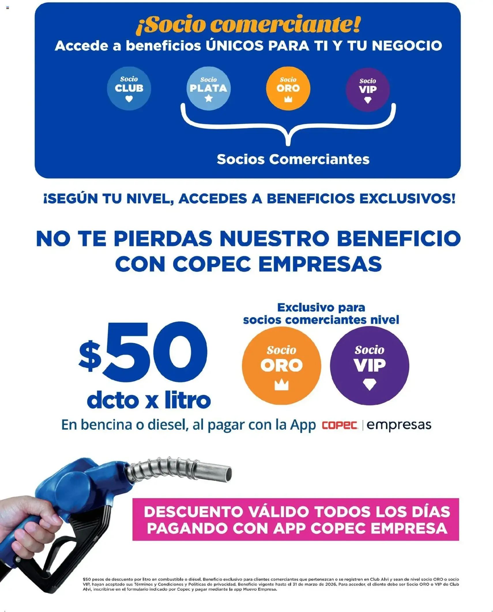 Alvi catálogo - folleto válido desde 14.01.2026 página 12 de 24