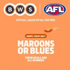 BWS catalogue - Flyer preview valid from 24/06/2026