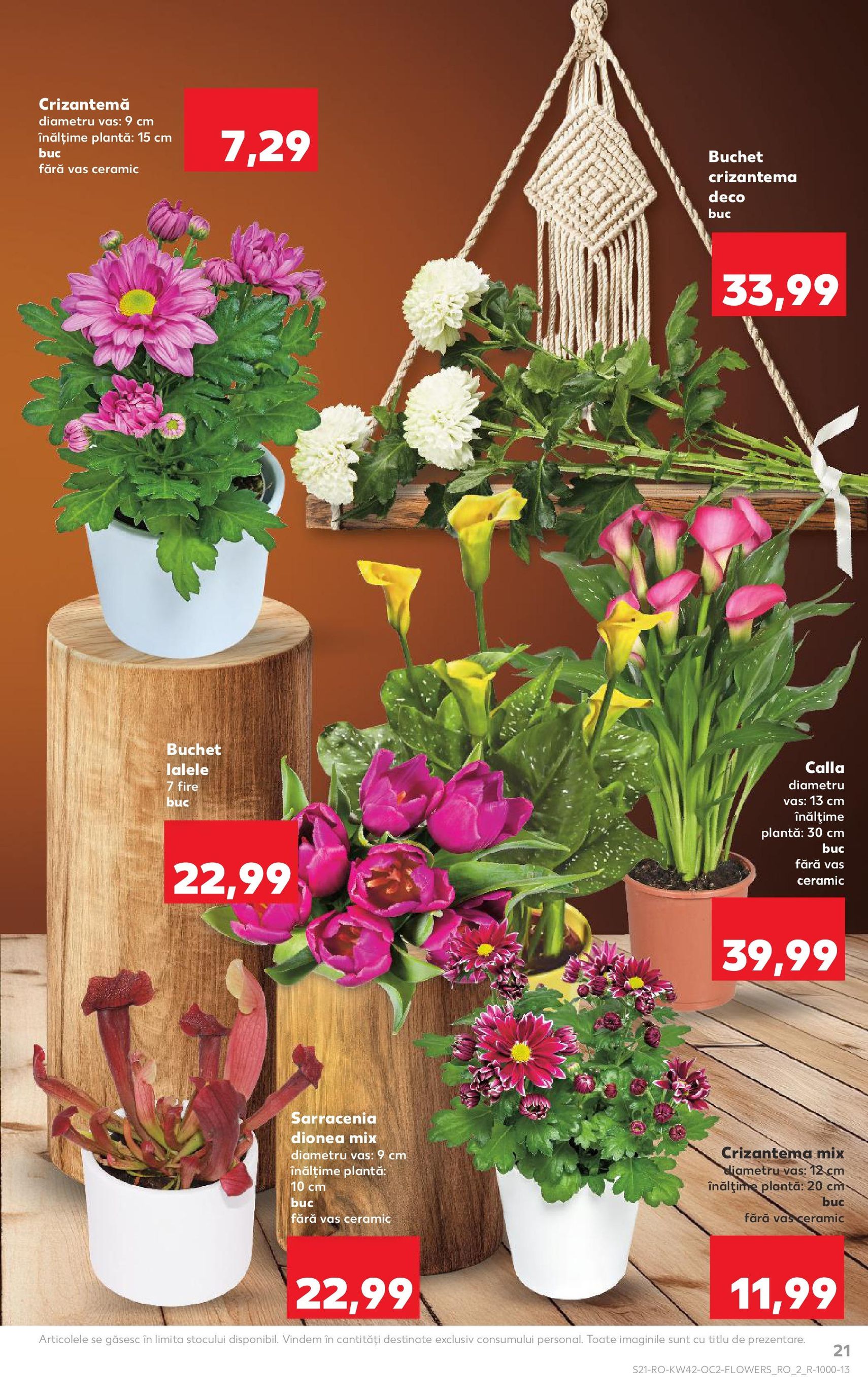 Catalog Kaufland - Bucureşti - cataloage valabile începând cu 15.10.2025 pagina 21 din 70 Catalog Kaufland - Bucureşti - cataloage valabile începând cu 15.10.2025 pagina 21 din 70