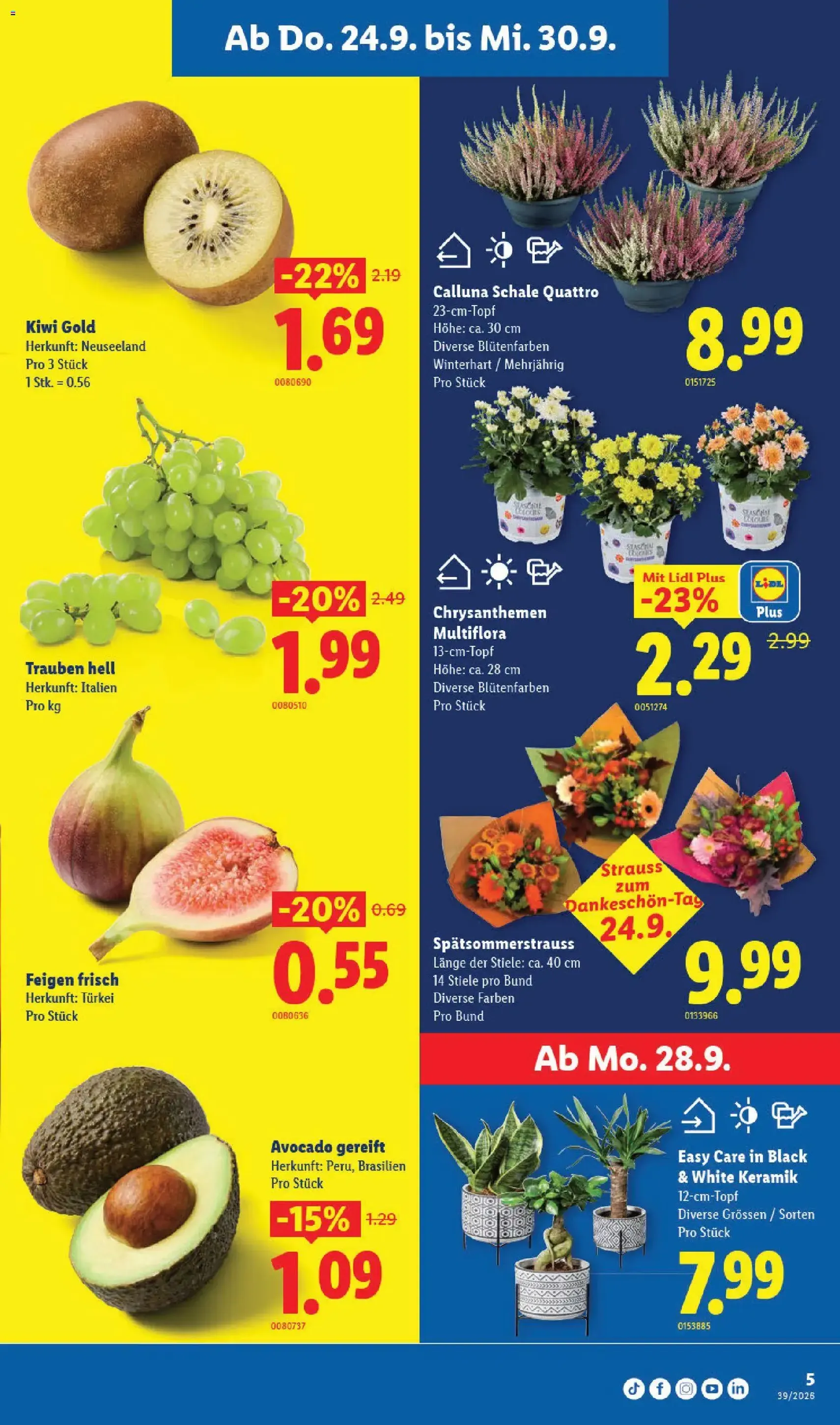Lidl aktionen - Gültiger Prospekt ab 24.09.2026, Seite 5 von insgesamt 32