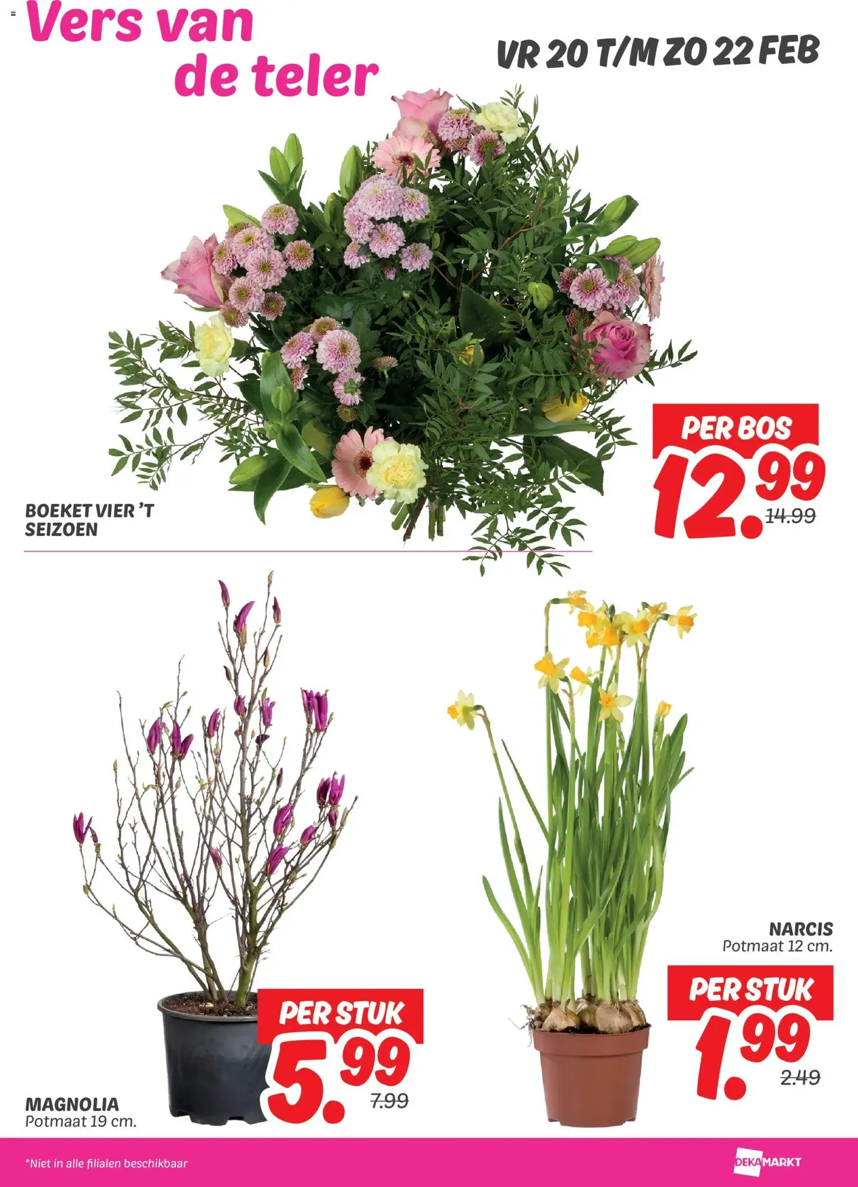 Dekamarkt - Folder - geldige folder vanaf 17-02-2026 pagina 25 van 28