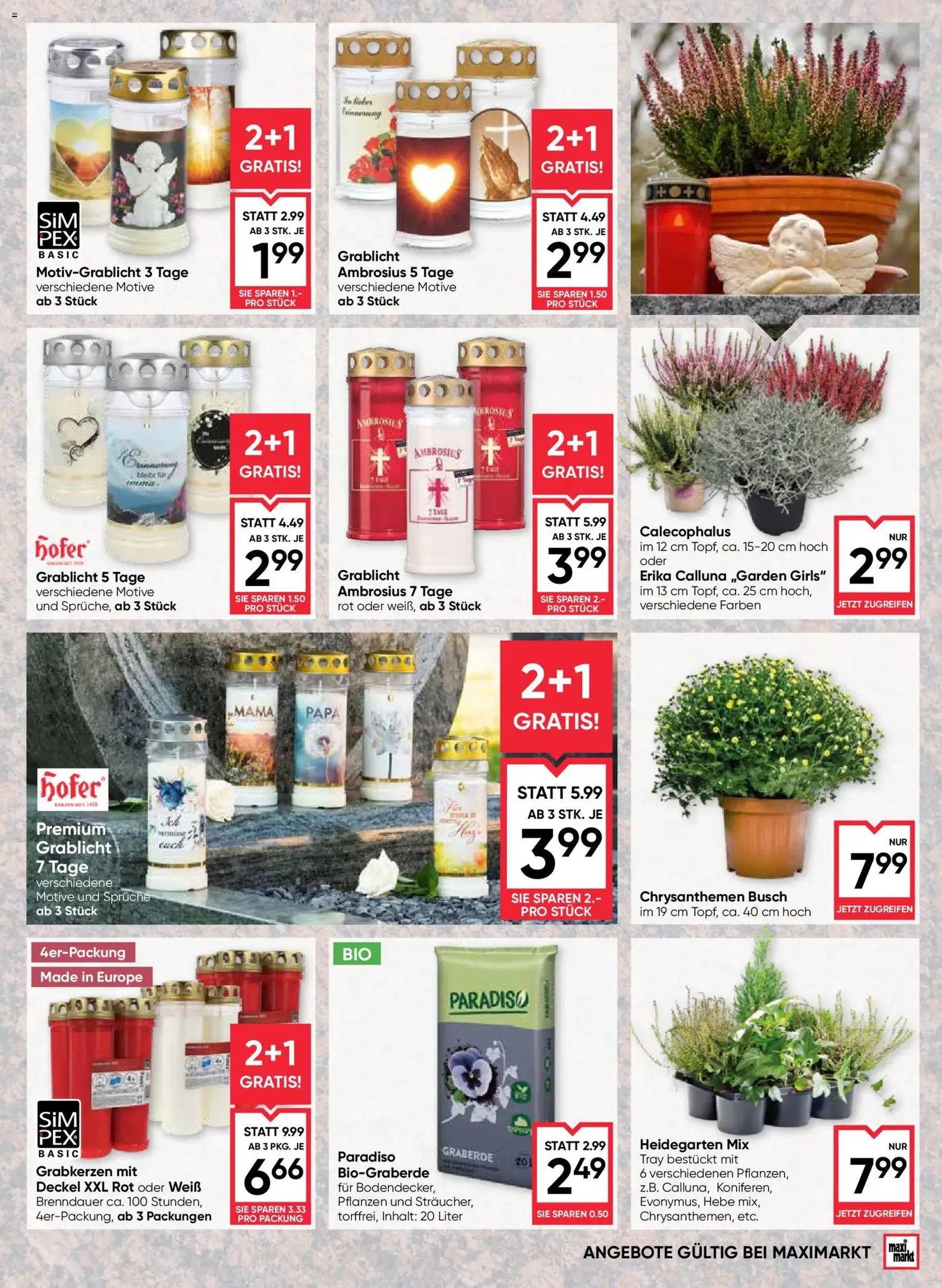 Maximarkt Flugblatt - Gültiger Prospekt ab 10.09.2026, Seite 17 von insgesamt 24