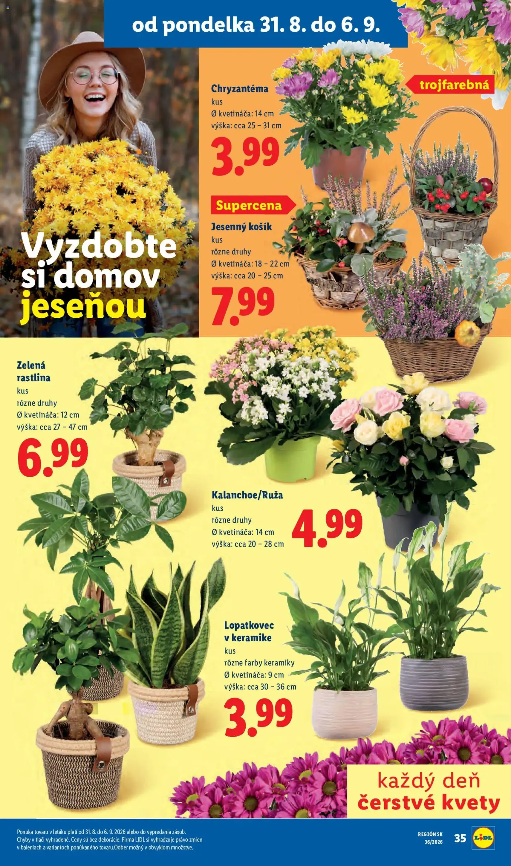 Lidl leták - platný leták od 31.08.2026 strana 49 z 97