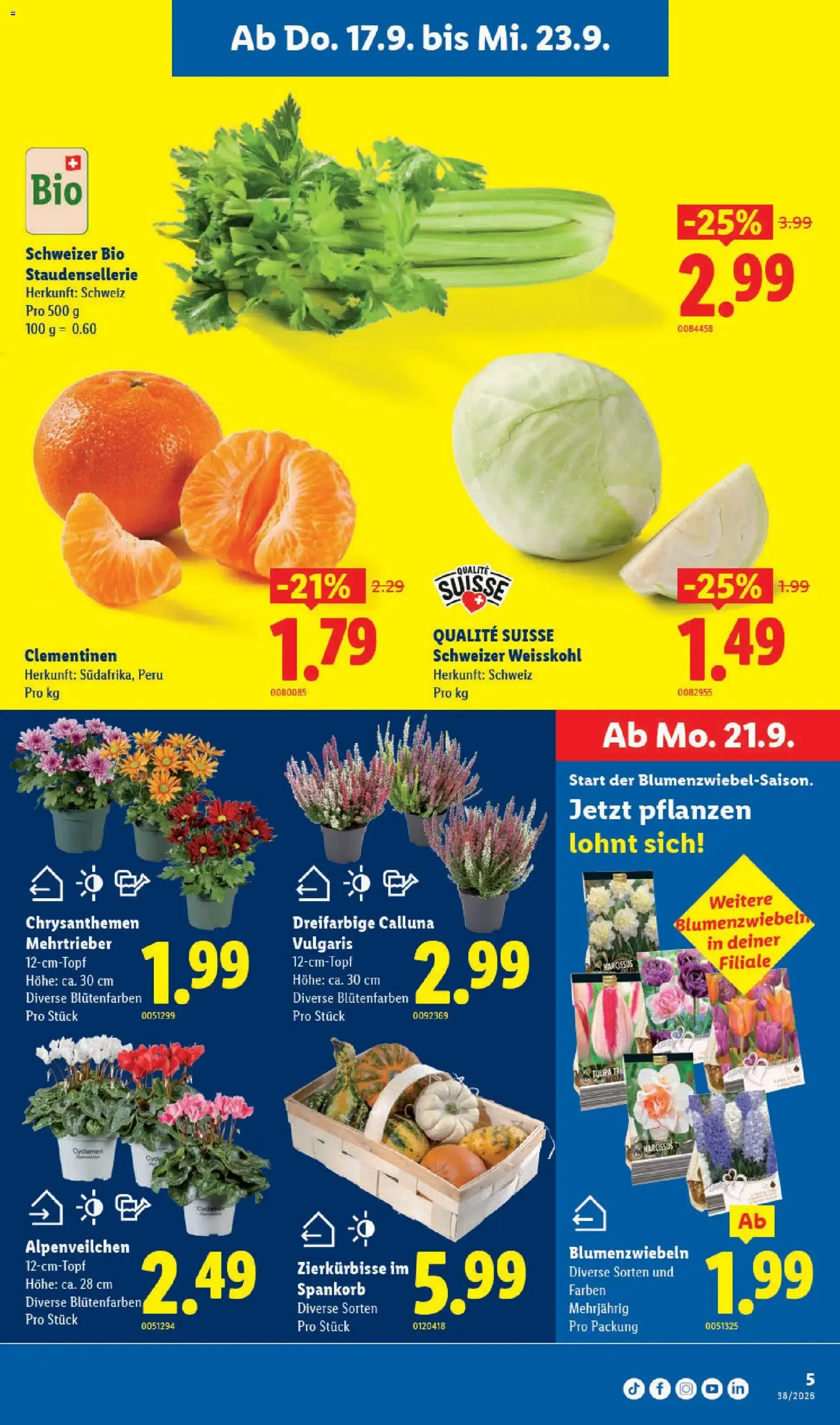 Lidl aktionen - Gültiger Prospekt ab 17.09.2026, Seite 5 von insgesamt 32