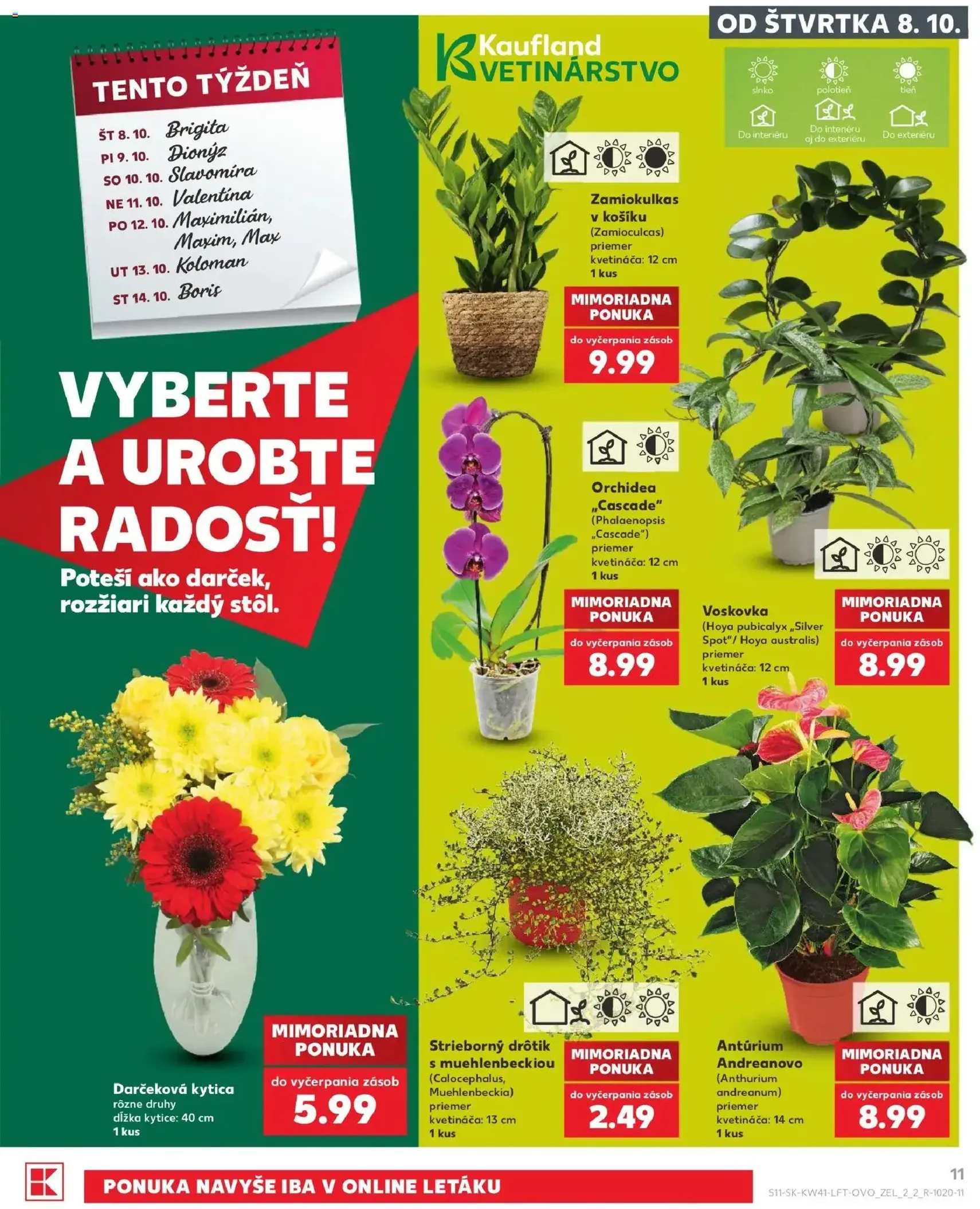Kaufland leták - platný leták od 08.10.2026 strana 11 z 86