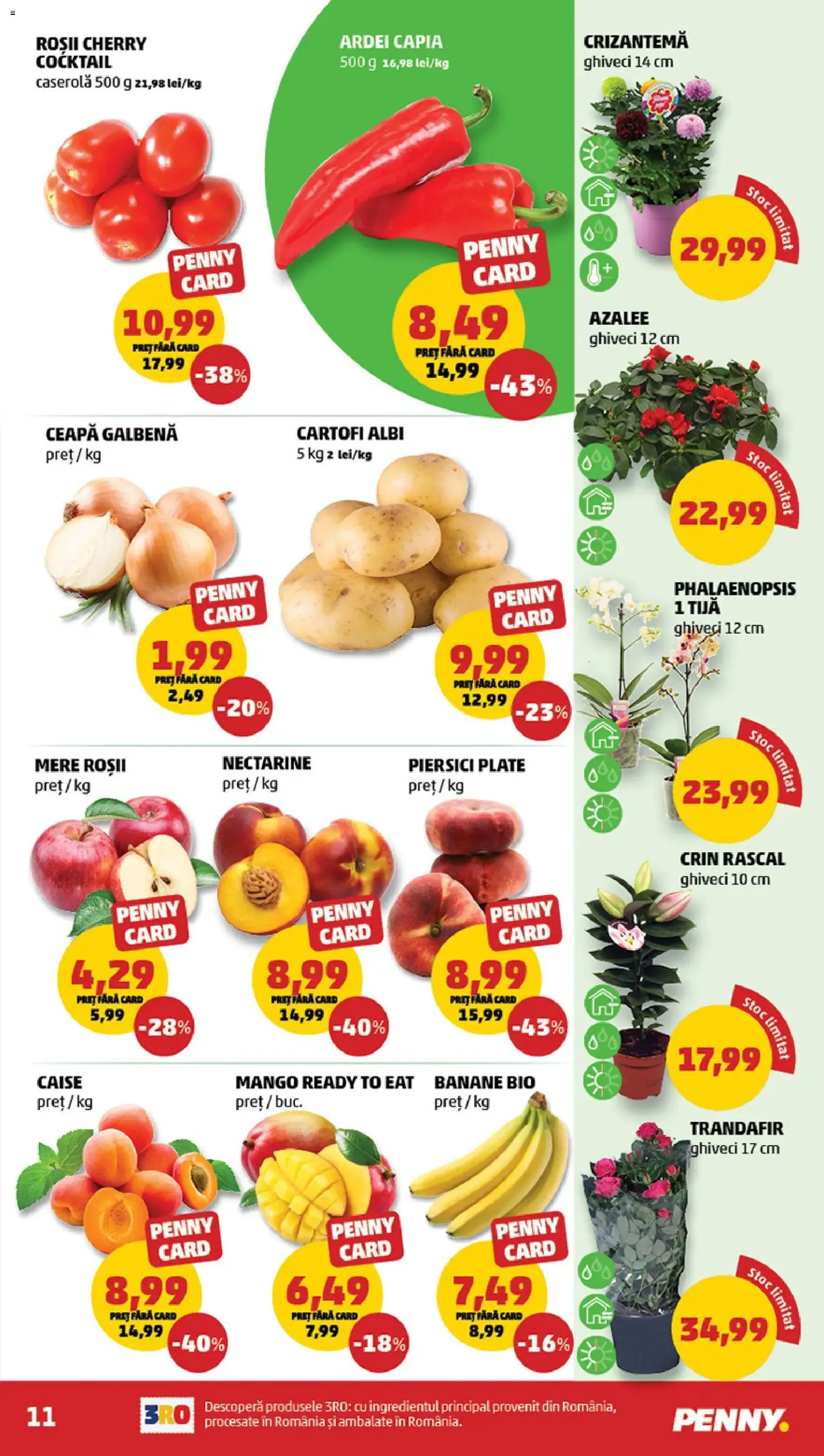 PENNY Catalog - cataloage valabile începând cu 10.06.2026 pagina 11 din 24