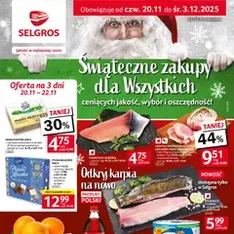 Selgros cash&carry Gazetka - podgląd gazetki ważnej od 20.11.2025
