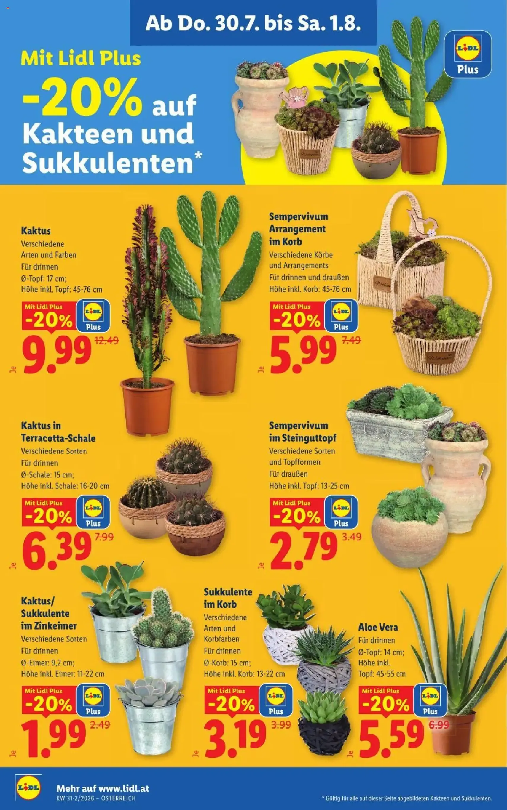 Lidl - Flugblatt - Gültiger Prospekt ab 30.07.2026, Seite 26 von insgesamt 52
