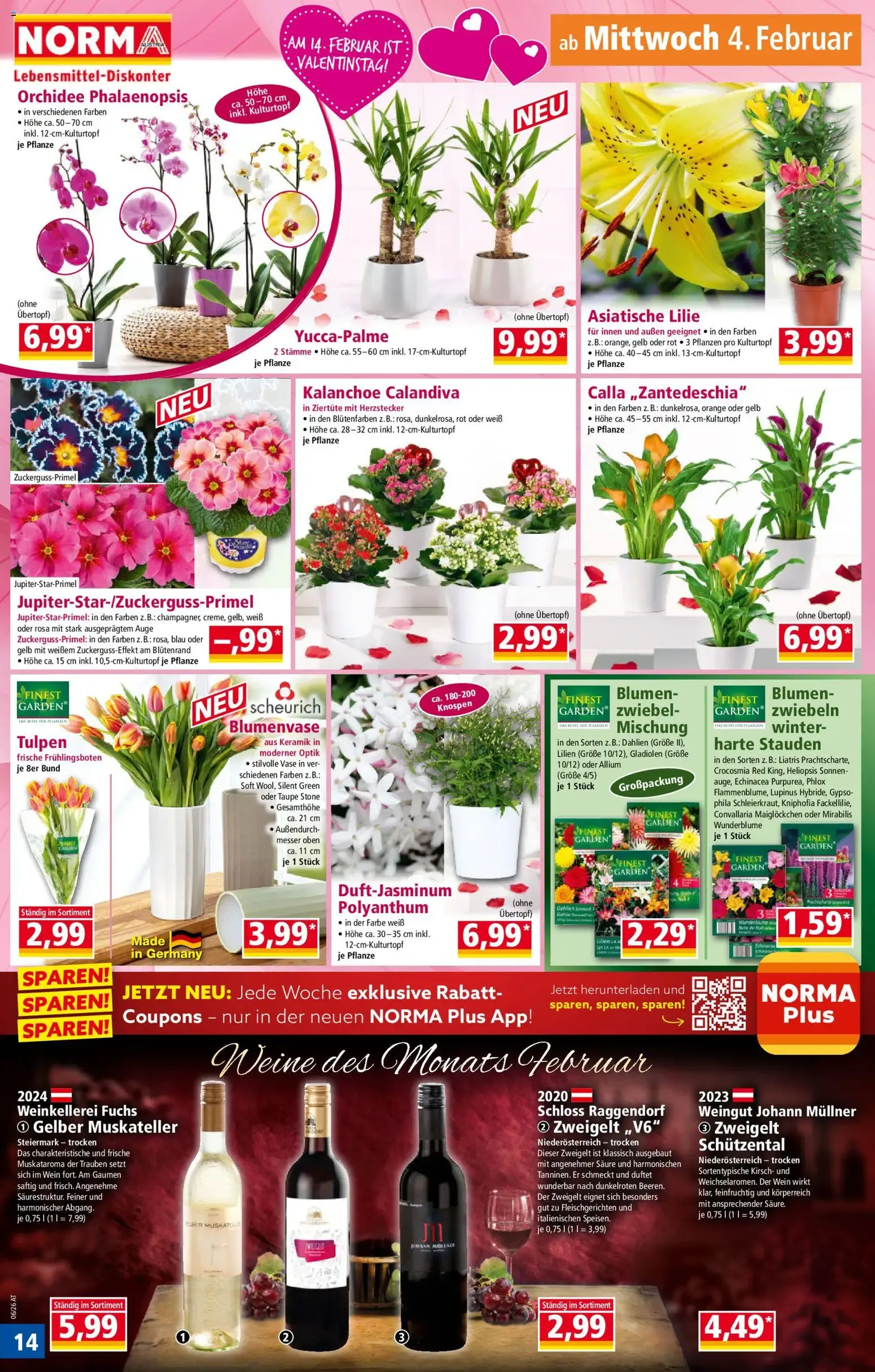 Norma Flugblatt - Gültiger Prospekt ab 02.02.2026, Seite 14 von insgesamt 20