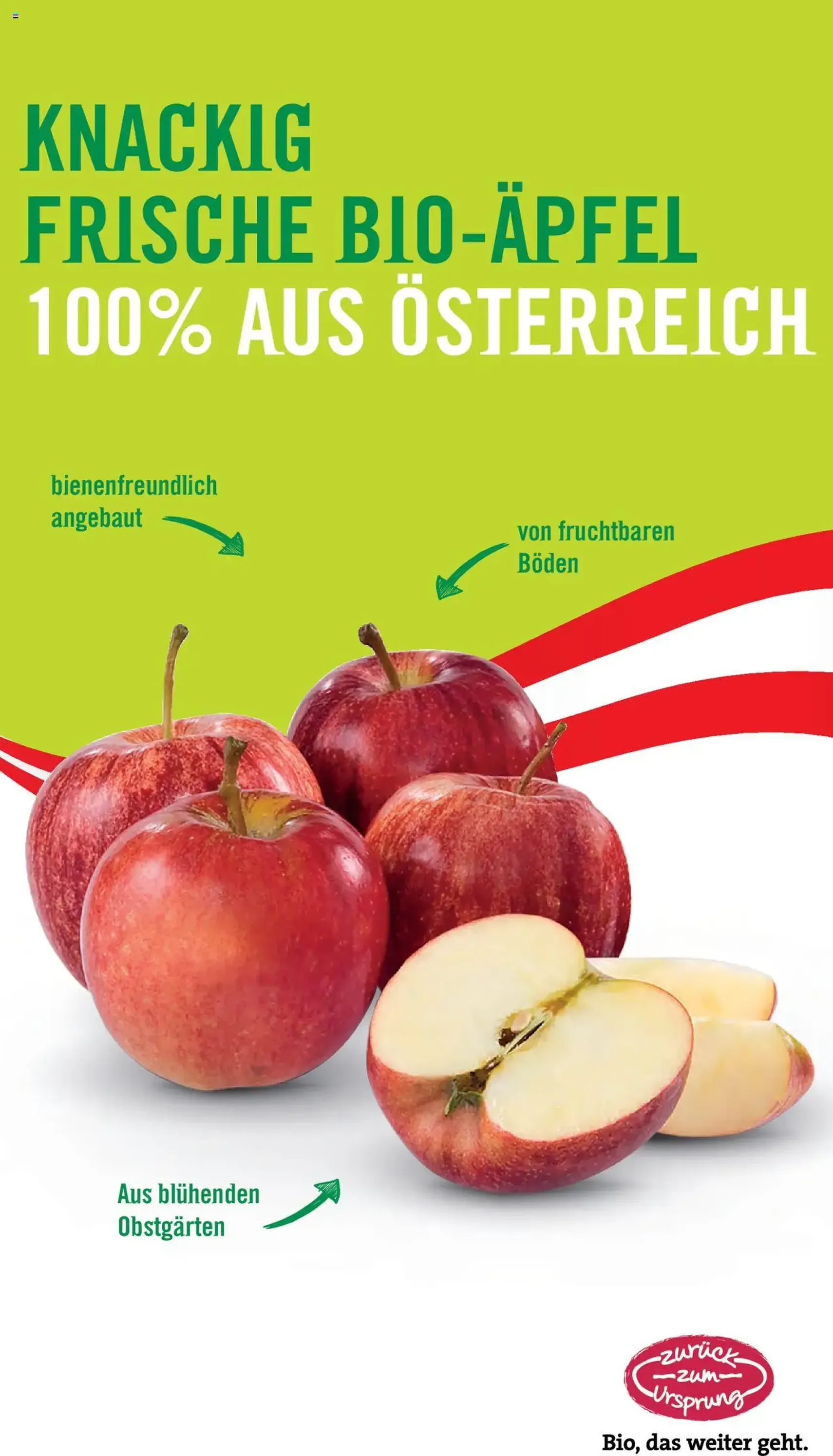 Hofer Flugblatt - Gültiger Prospekt ab 26.09.2025, Seite 27 von insgesamt 50