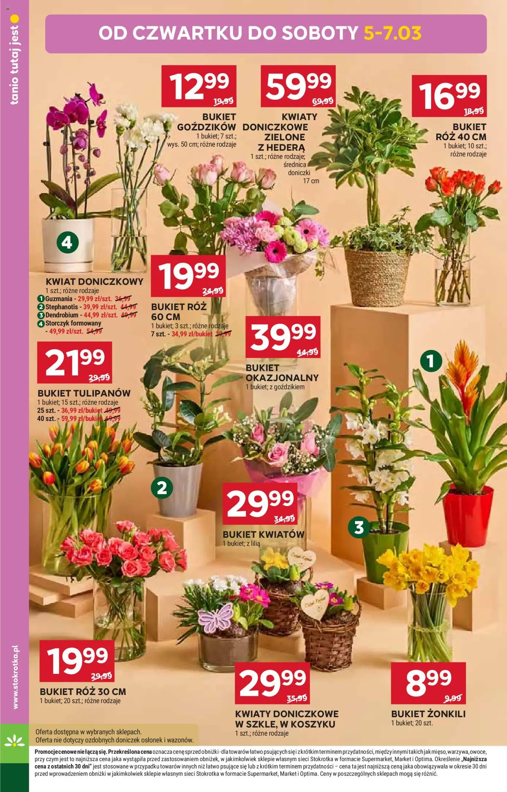 Stokrotka gazetka - ważny gazetka od 05.03.2026 strona 14 z 58