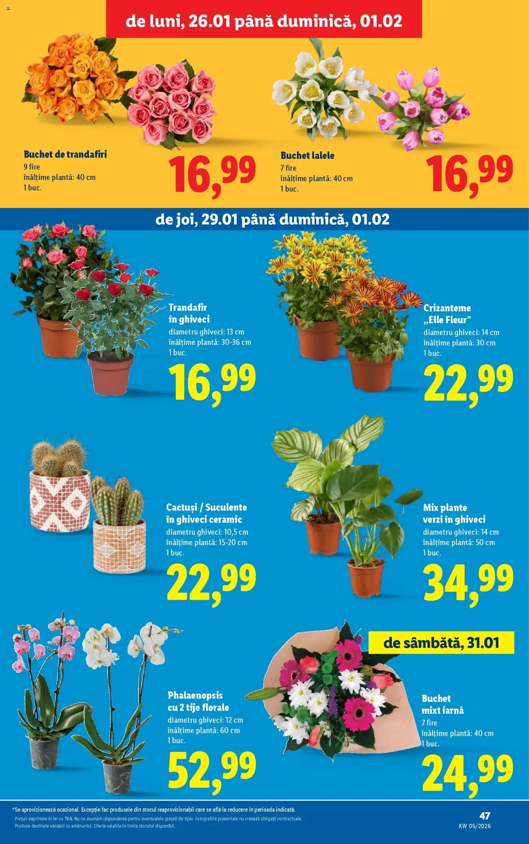 Catalog Lidl - cataloage valabile începând cu 26.01.2026 pagina 47 din 74