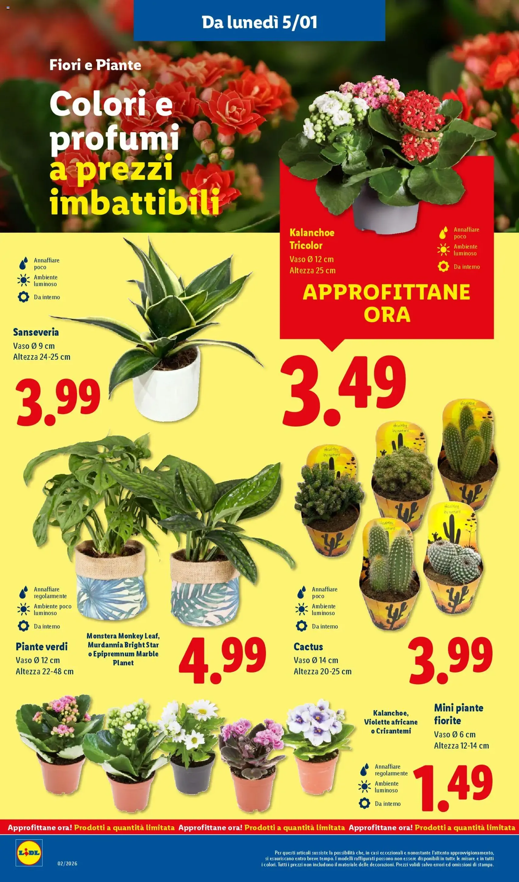 Volantino Lidl - volantino valido dal 05/01/2026 pagina 36 di 48