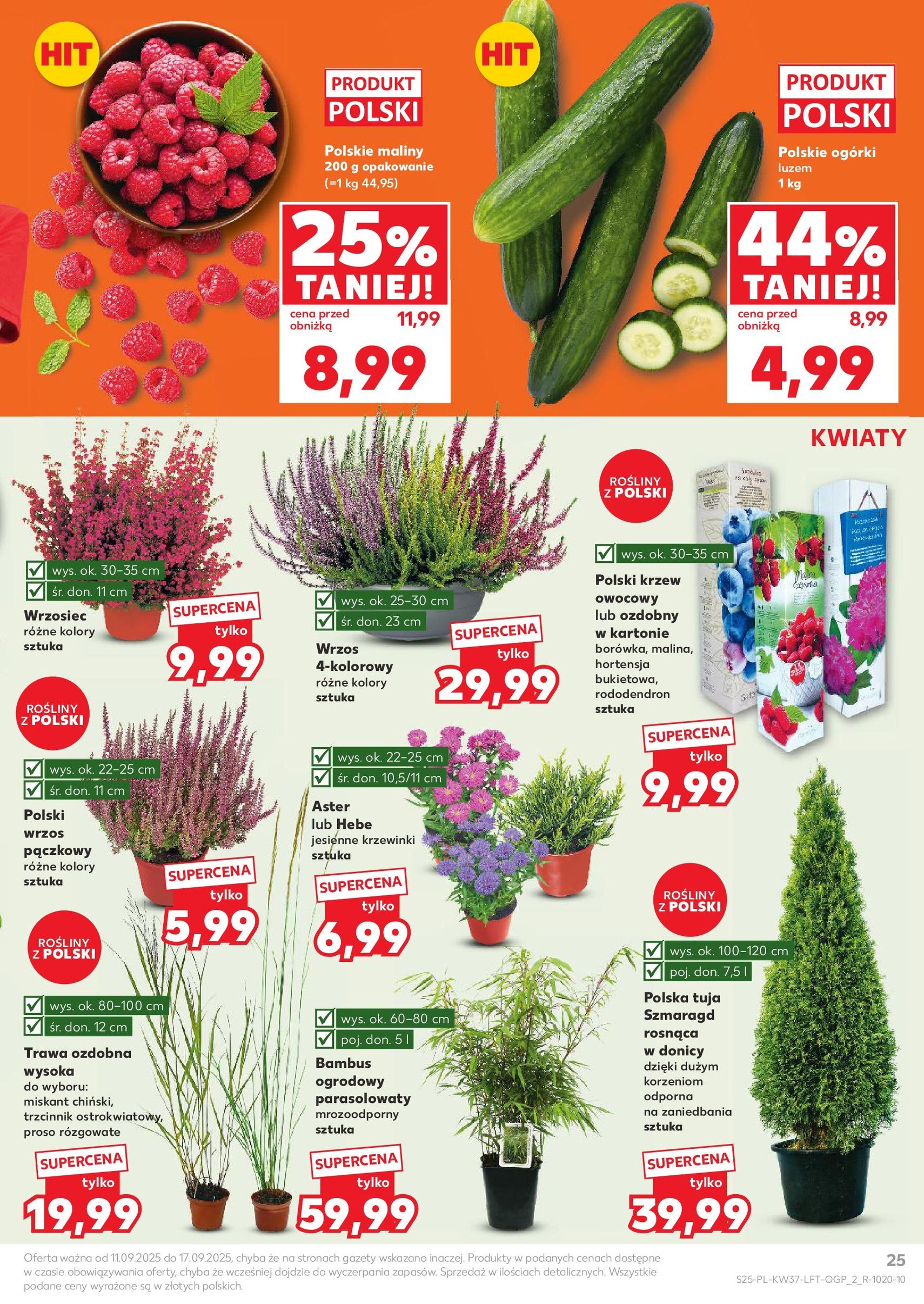 Kaufland gazetka - ważny gazetka od 11.09.2025 strona 25 z 61 Kaufland gazetka - ważny gazetka od 11.09.2025 strona 25 z 61