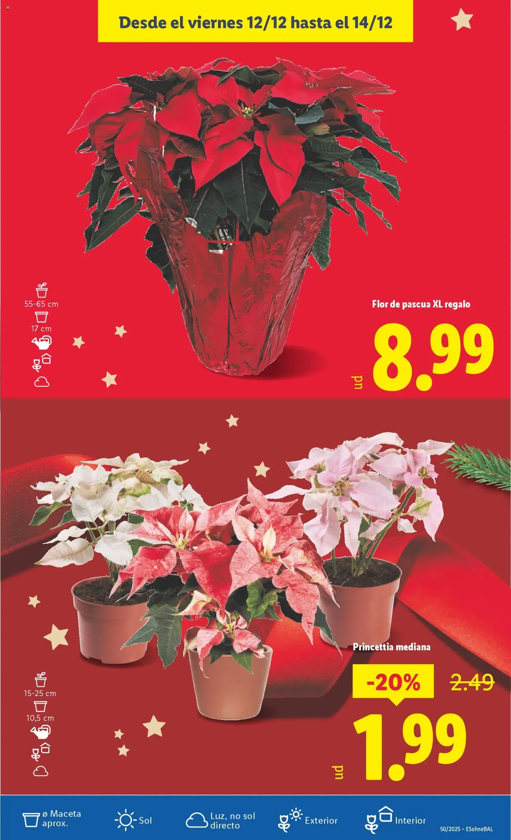 Lidl folleto - folleto válido desde 08/12/2025 página 53 de 53