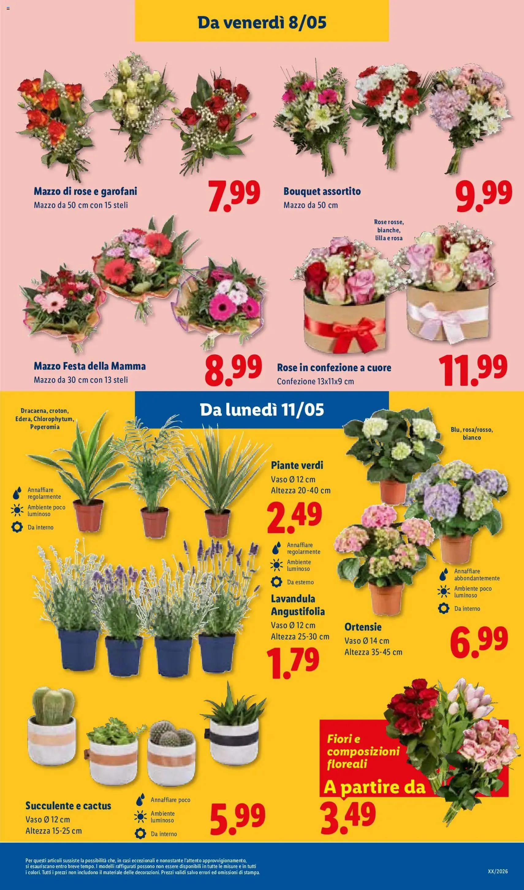 Lidl volantino - volantino valido dal 07/05/2026 pagina 31 di 48
