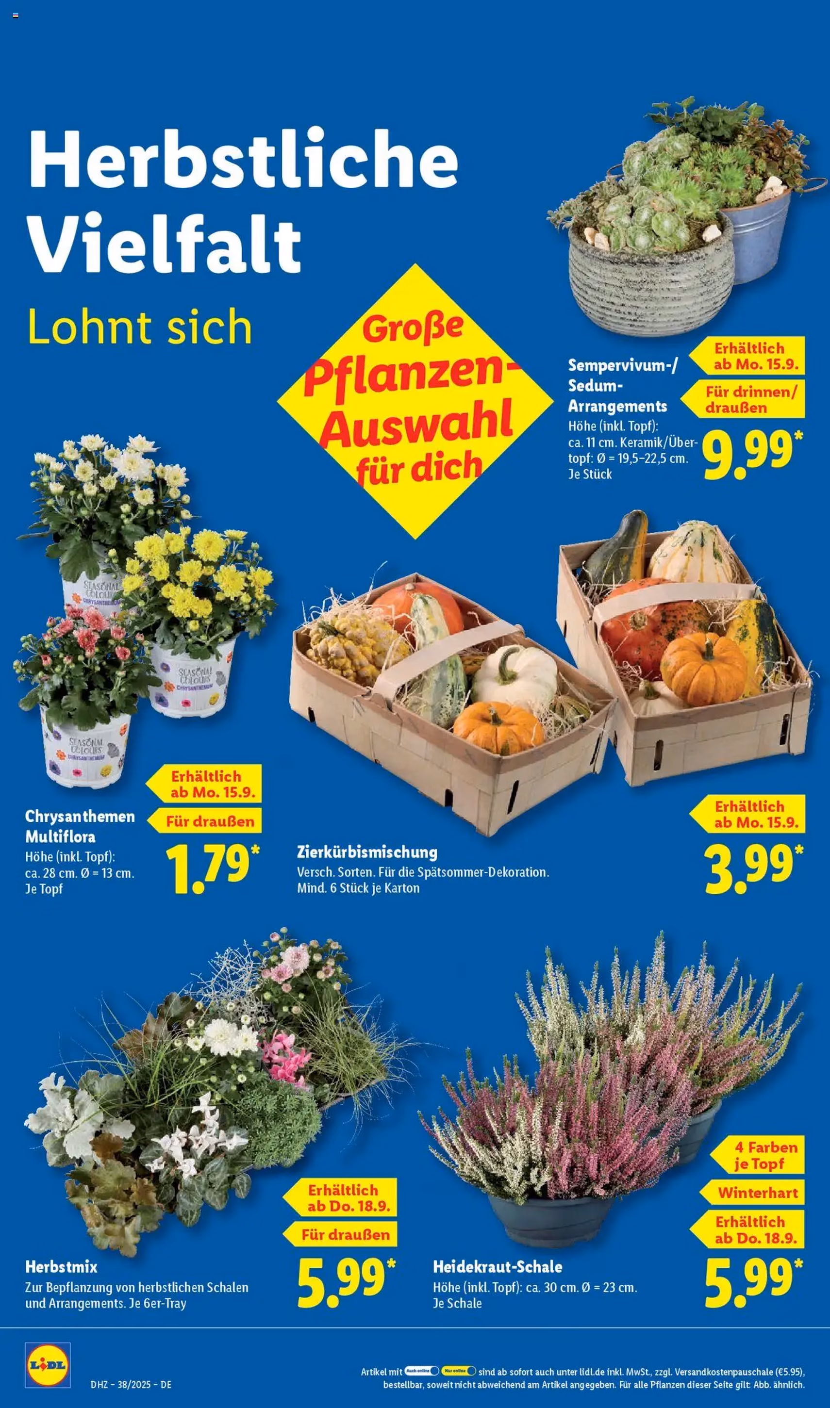 Lidl Prospekt - Gültiger Prospekt ab 15.09.2025, Seite 24 von insgesamt 68 Lidl Prospekt - Gültiger Prospekt ab 15.09.2025, Seite 24 von insgesamt 68