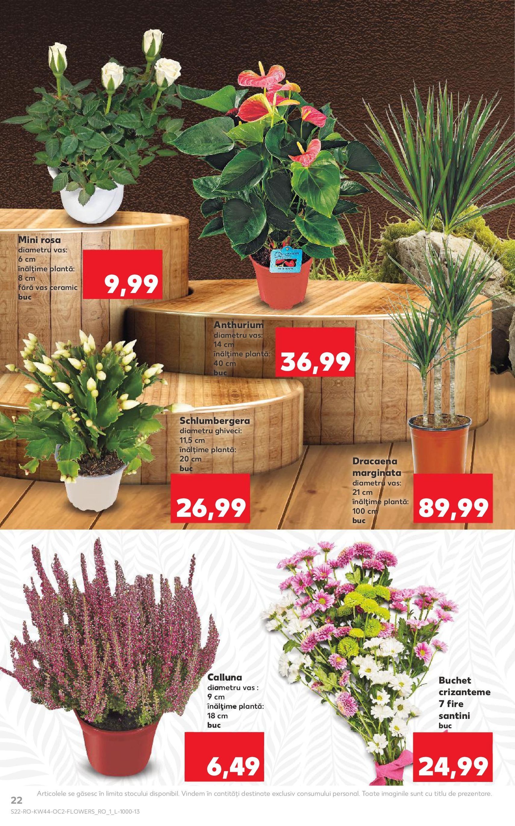 Catalog Kaufland - Bucureşti - cataloage valabile începând cu 29.10.2025 pagina 22 din 70 Catalog Kaufland - Bucureşti - cataloage valabile începând cu 29.10.2025 pagina 22 din 70