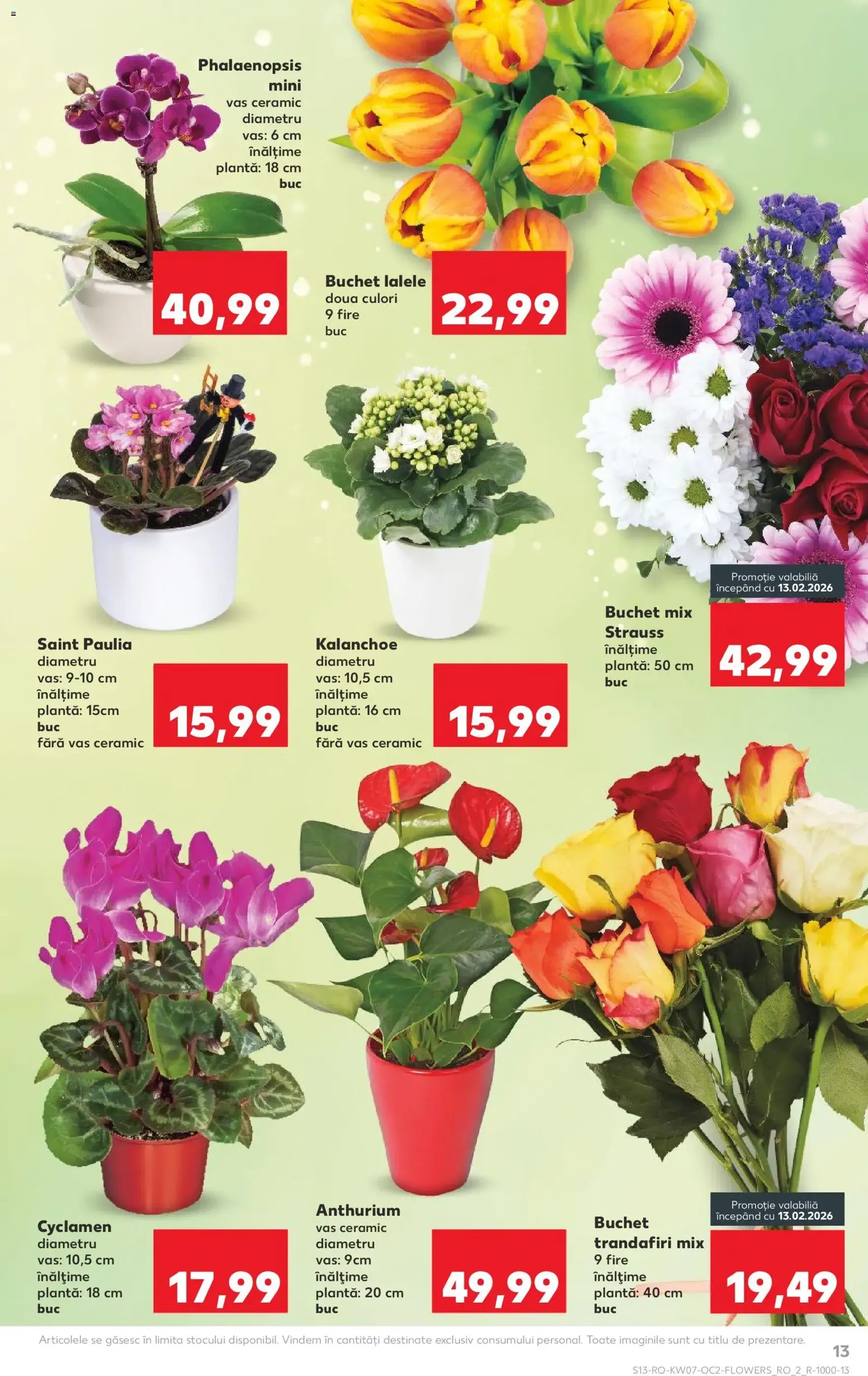 Catalog Kaufland - cataloage valabile începând cu 11.02.2026 pagina 13 din 64