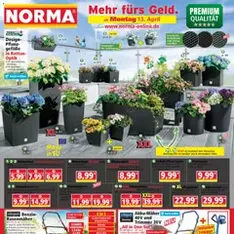 Norma Prospekt - Prospekt Vorschau gültig ab 13.04.2026