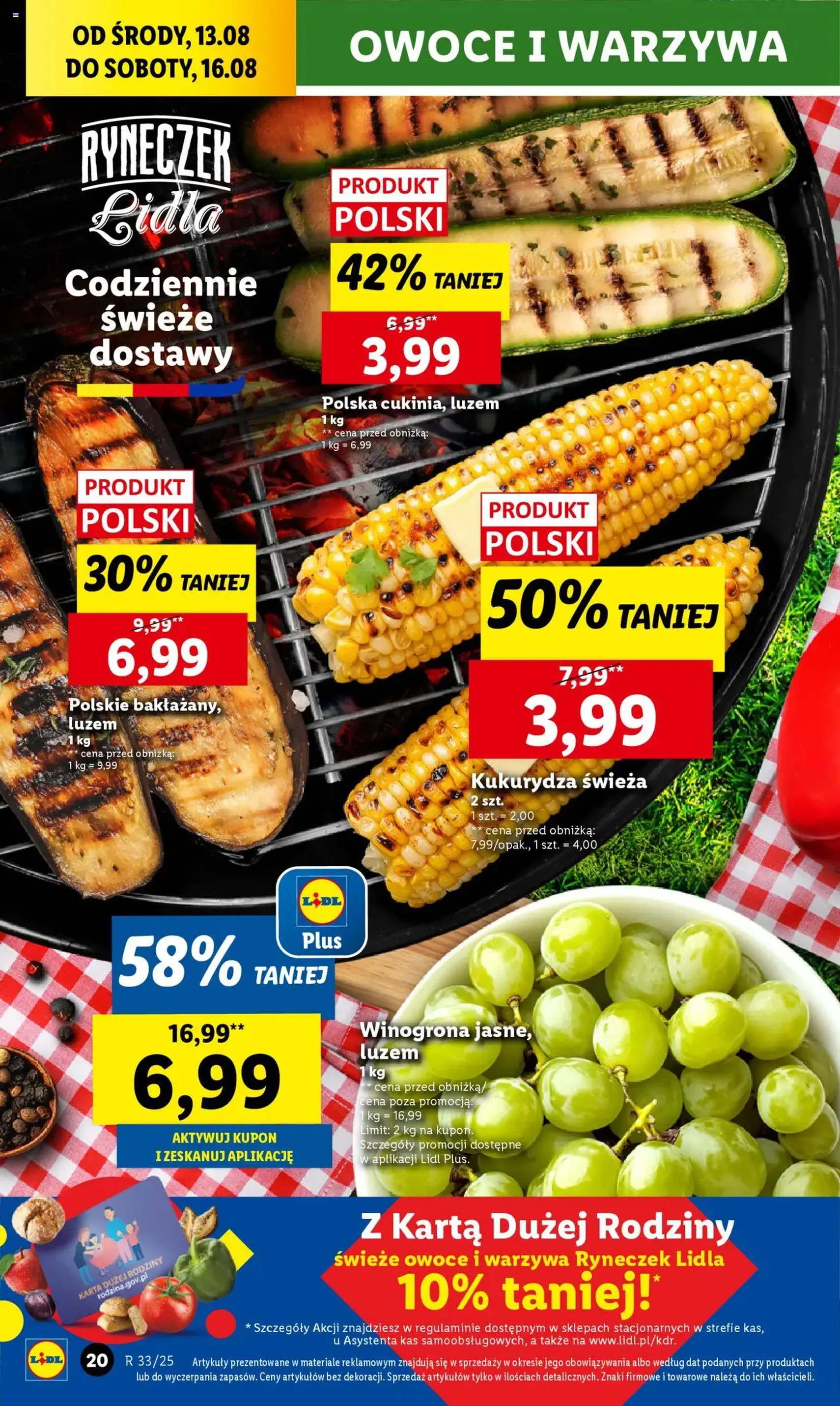 Lidl Gazetka - ważny gazetka od 13.08.2025 strona 22 z 48