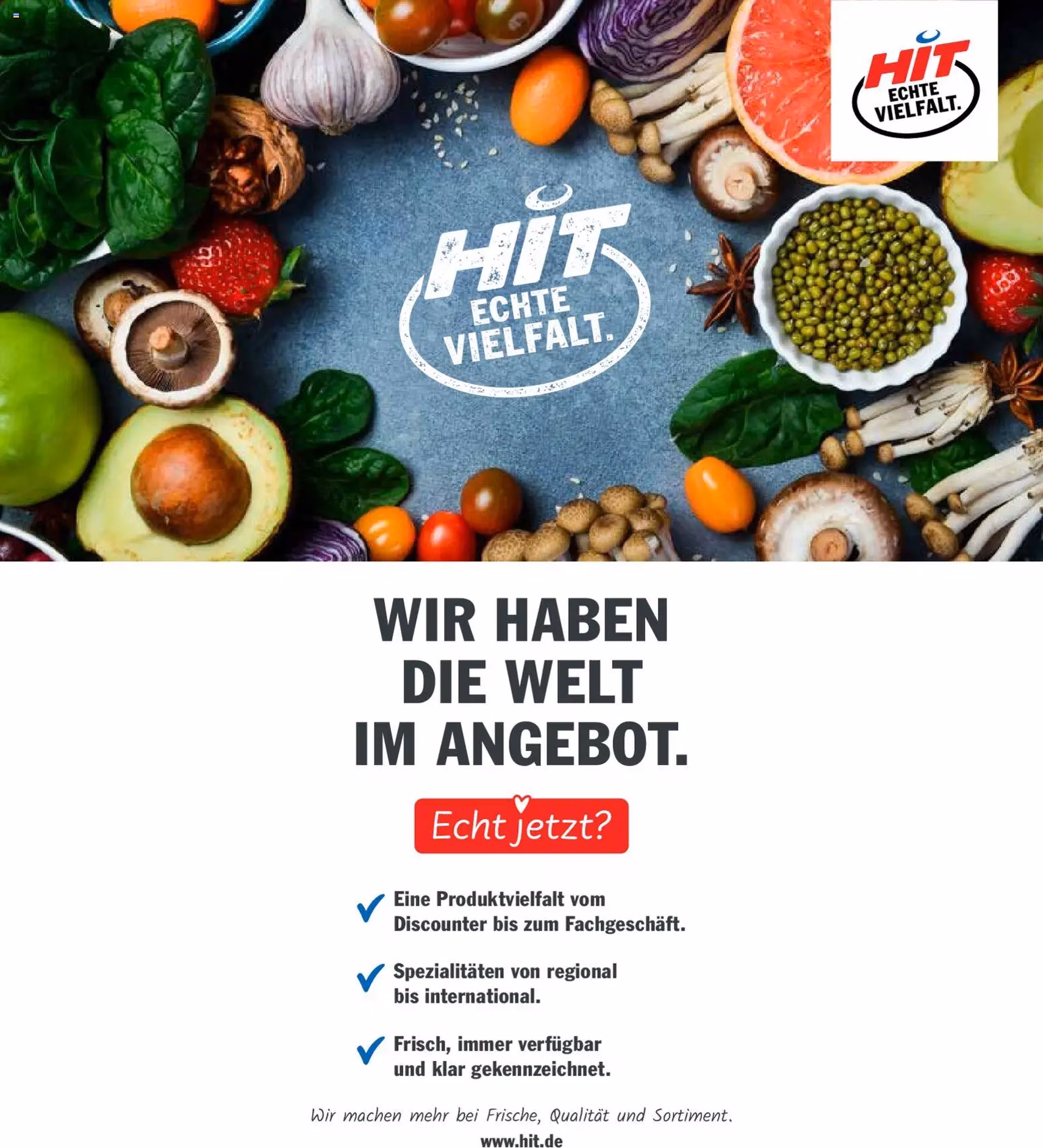 HIT Prospekt - Gültiger Prospekt ab 27.10.2025, Seite 17 von insgesamt 19 HIT Prospekt - Gültiger Prospekt ab 27.10.2025, Seite 17 von insgesamt 19