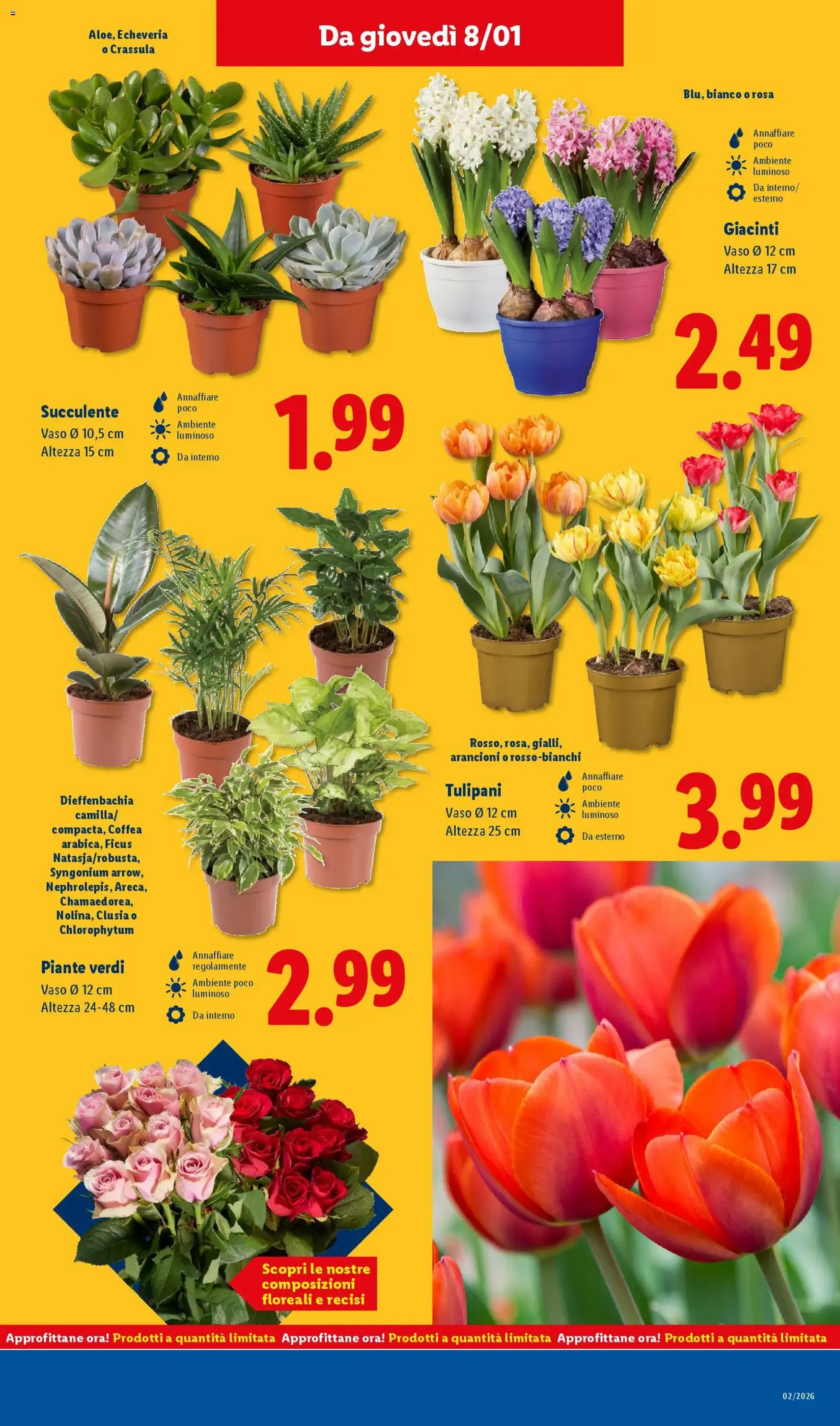 Volantino Lidl - volantino valido dal 05/01/2026 pagina 37 di 48