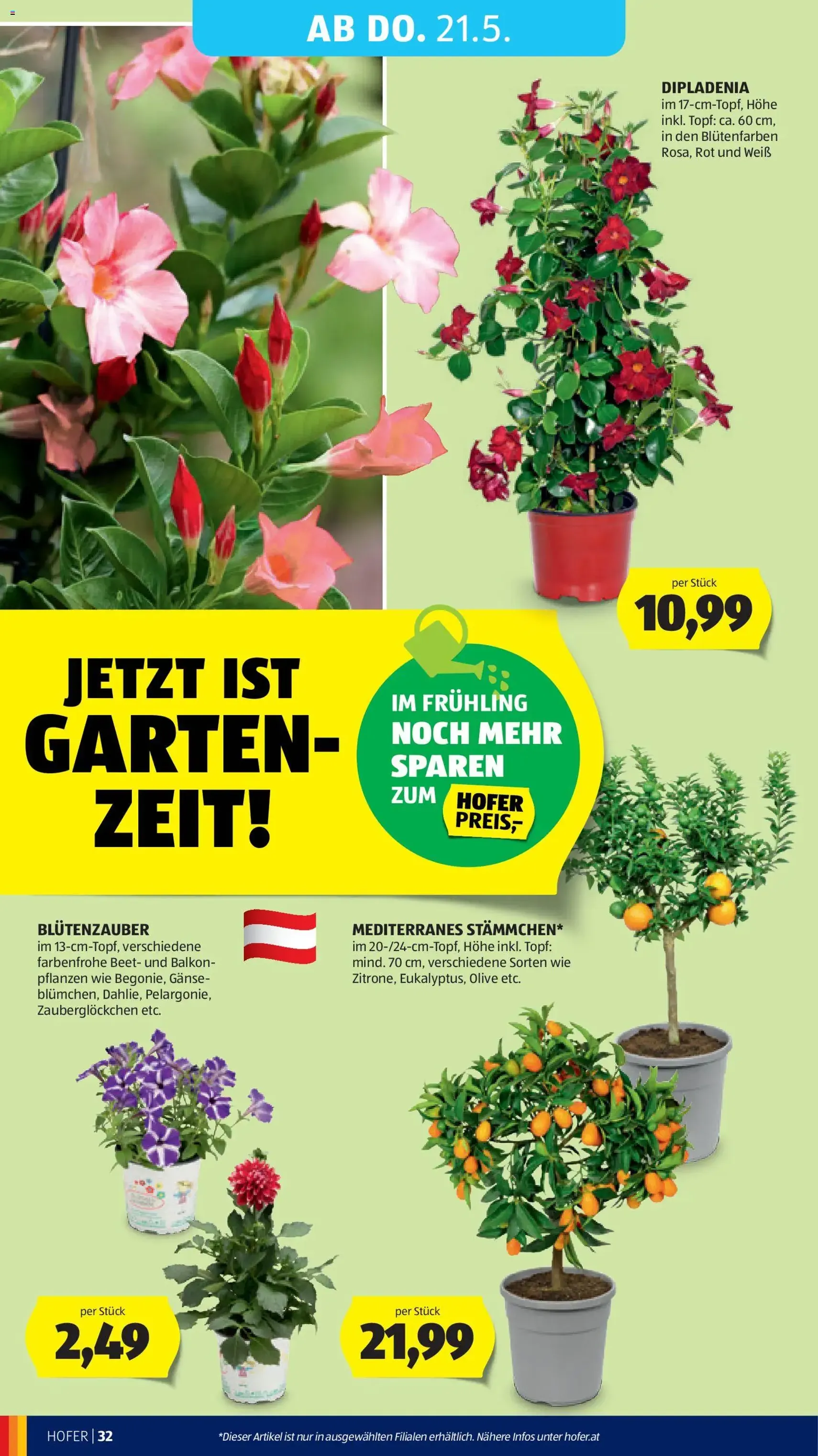 Hofer Flugblatt - Gültiger Prospekt ab 15.05.2026, Seite 38 von insgesamt 46