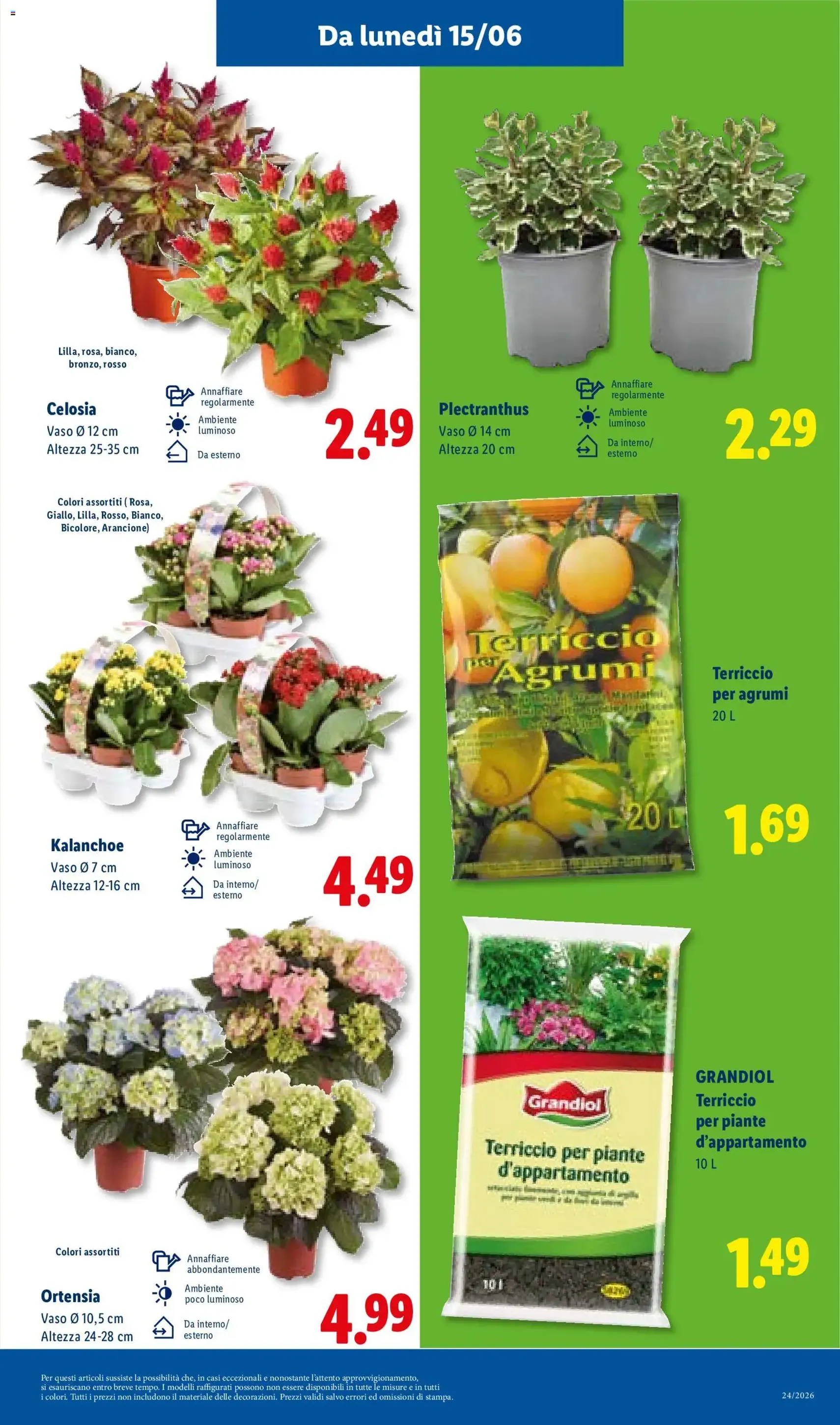 Lidl volantino - volantino valido dal 11/06/2026 pagina 43 di 52