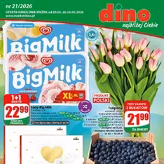 Dino gazetka - podgląd gazetki ważnej od 20.05.2026