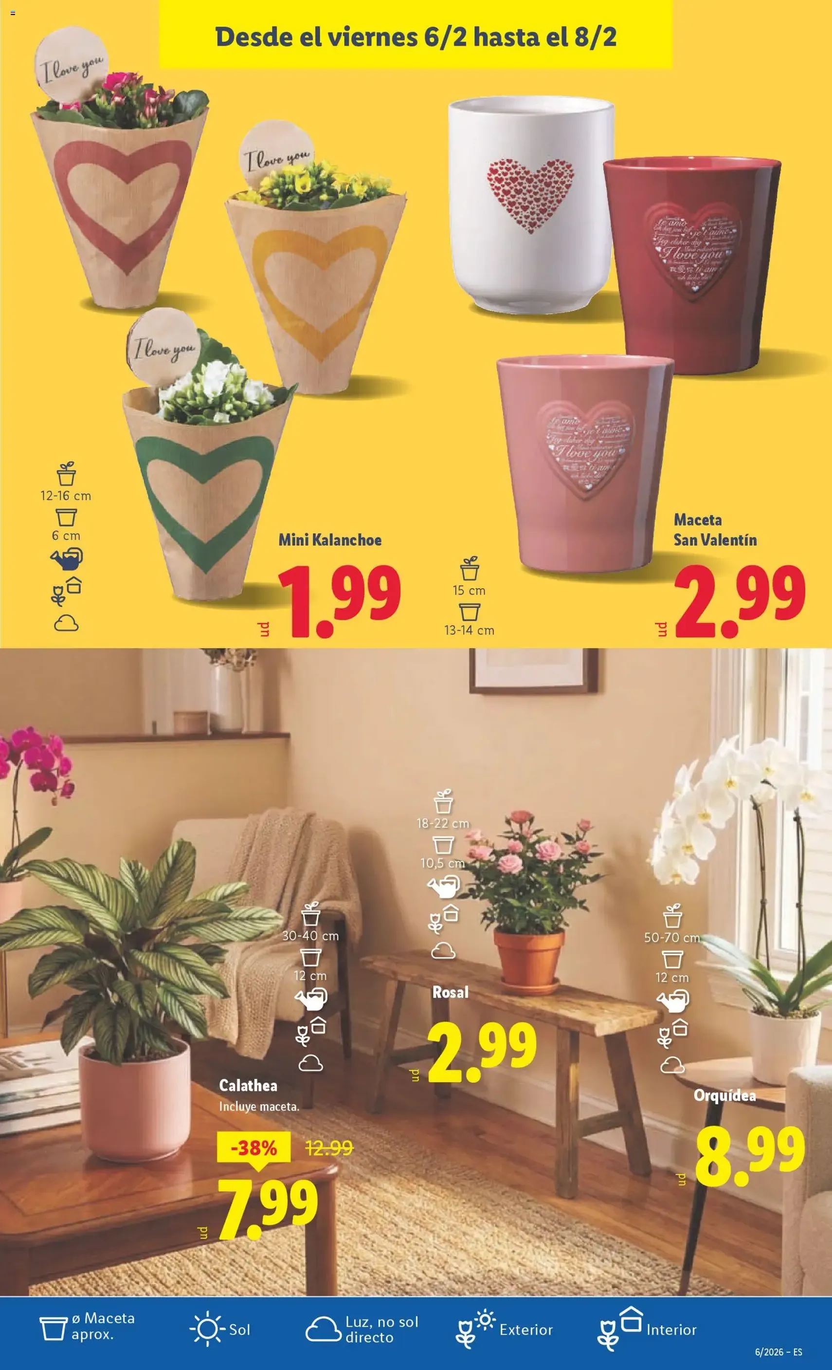 Lidl folleto - folleto válido desde 02/02/2026 página 37 de 37