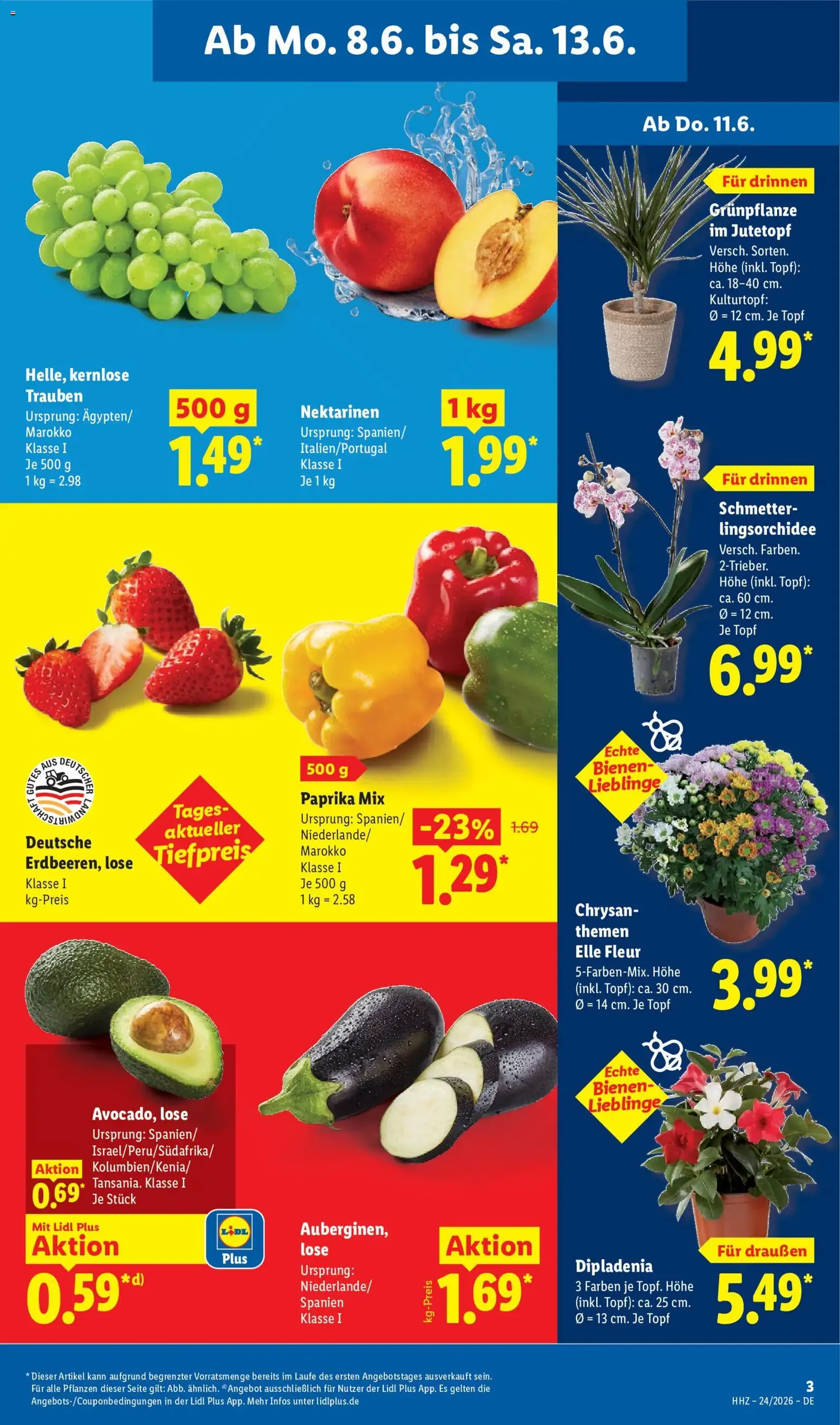Lidl Prospekt - Gültiger Prospekt ab 08.06.2026, Seite 7 von insgesamt 73