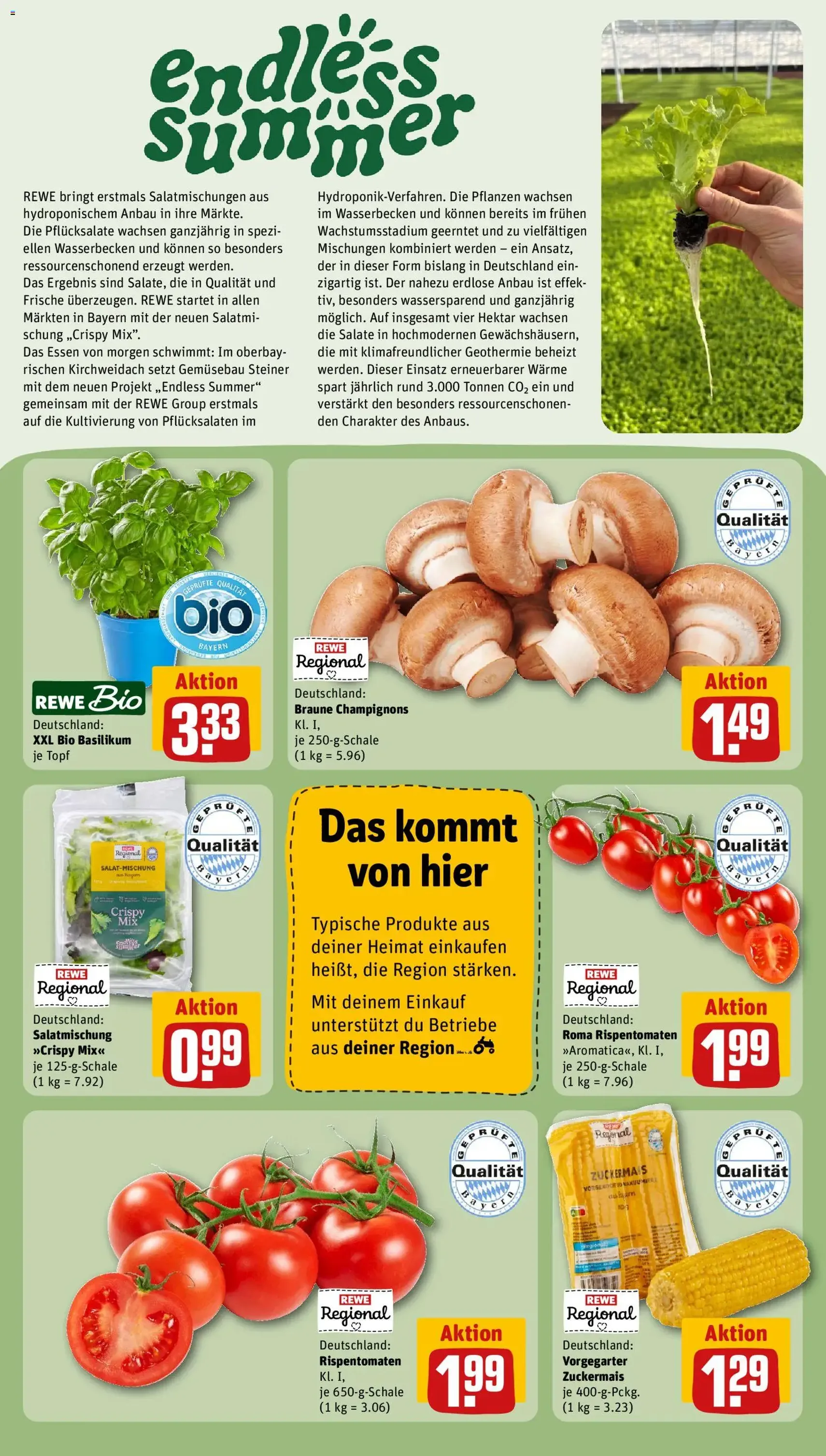 Rewe DE - DE Folder - geldige folder vanaf 29-06-2026 pagina 22 van 28