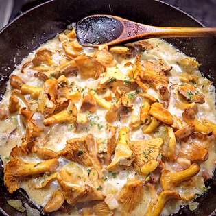 Recipe preview Mushroom slice with sour cream