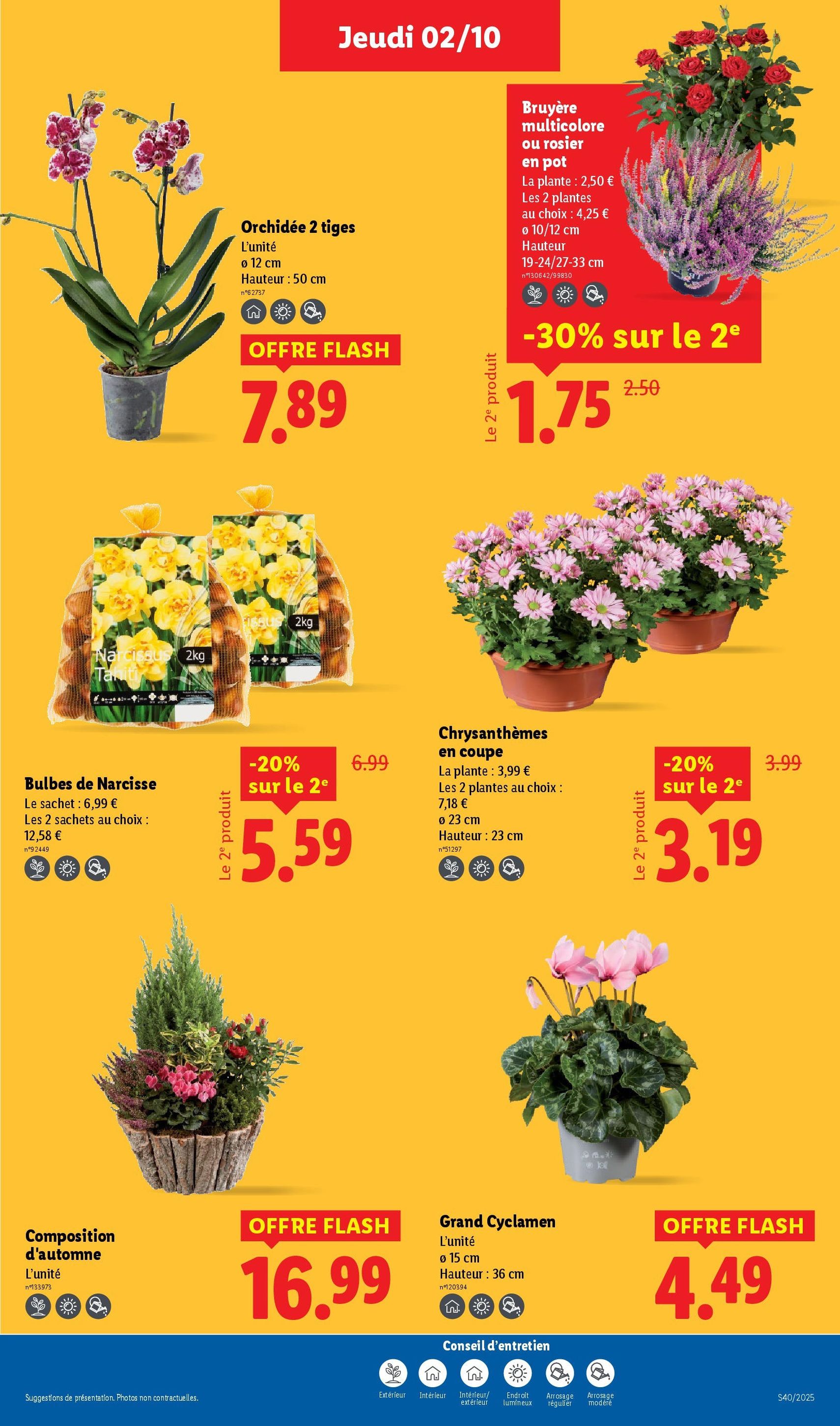 LIDL catalogue semaine 40 - brochure valable à partir du 02/10/2025, page 29 sur 76 LIDL catalogue semaine 40 - brochure valable à partir du 02/10/2025, page 29 sur 76