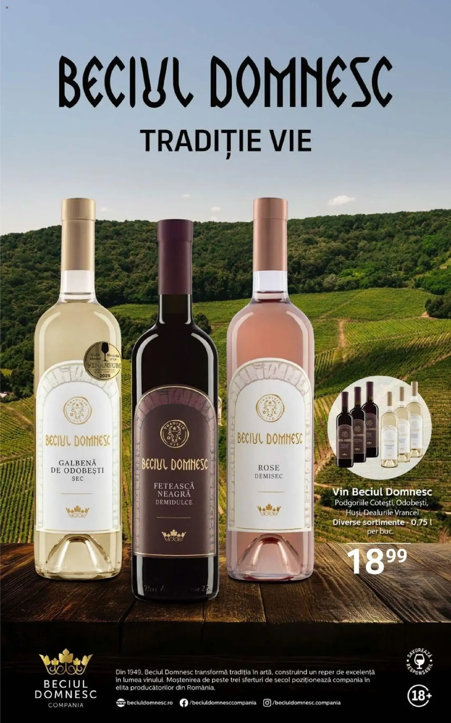 Catalog Selgros - cataloage valabile începând cu 28.11.2025 pagina 27 din 43