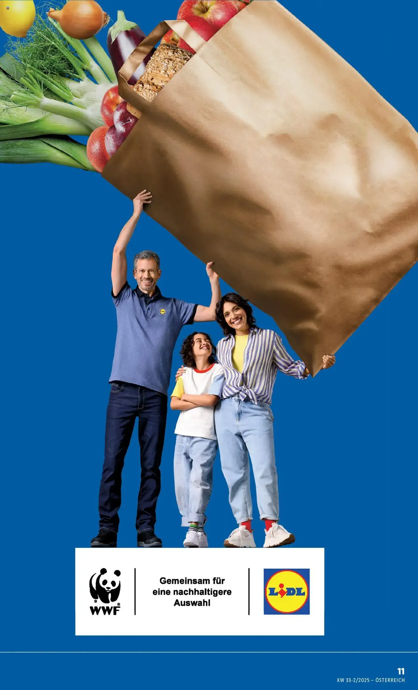 Lidl Flugblatt - Gültiger Prospekt ab 14.08.2025, Seite 13 von insgesamt 42 Lidl Flugblatt - Gültiger Prospekt ab 14.08.2025, Seite 13 von insgesamt 42