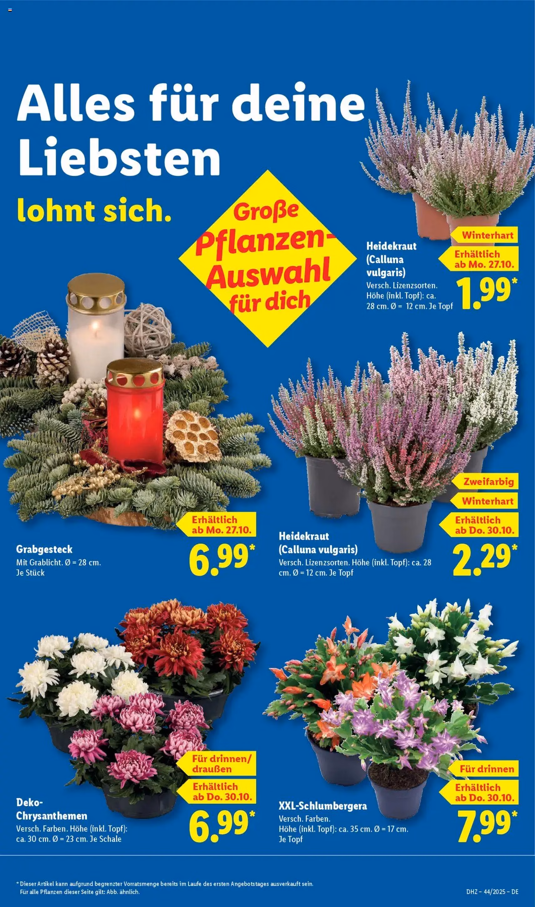 Lidl - Prospekt - Gültiger Prospekt ab 27.10.2025, Seite 21 von insgesamt 67 Lidl - Prospekt - Gültiger Prospekt ab 27.10.2025, Seite 21 von insgesamt 67